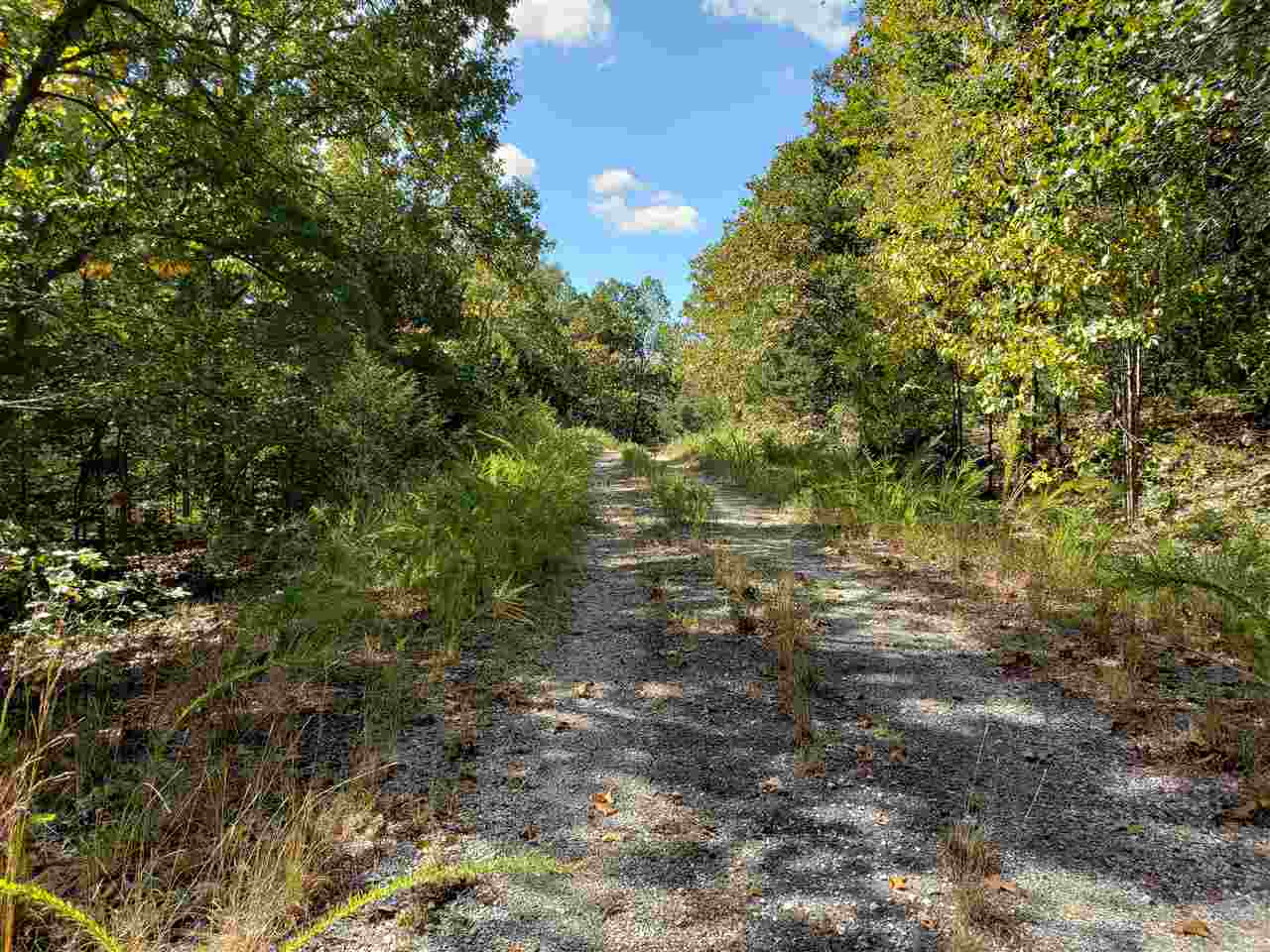 L-55 & 56 B-7  Lochloosa  Cherokee Village, AR