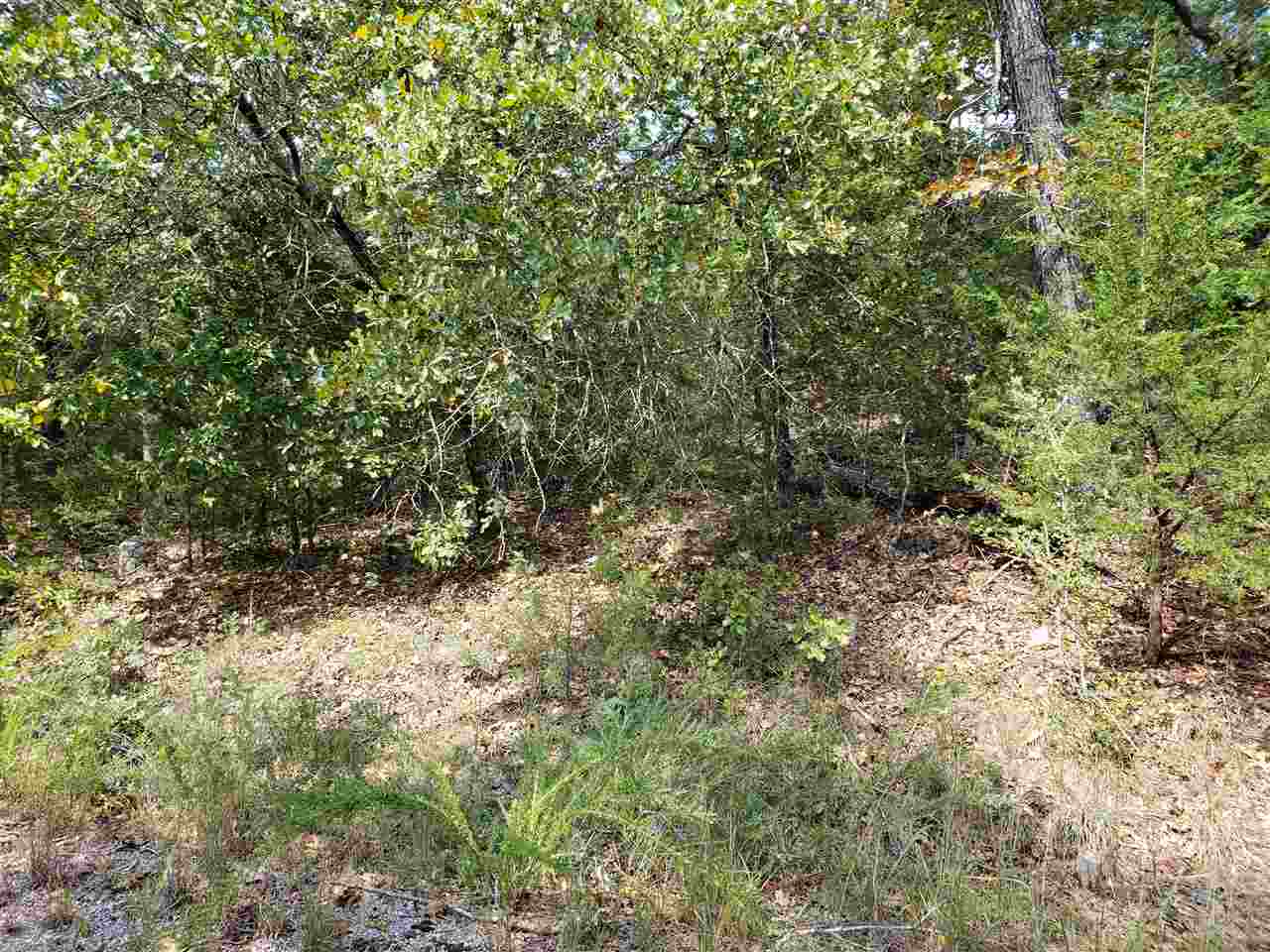 L-55 & 56 B-7  Lochloosa  Cherokee Village, AR