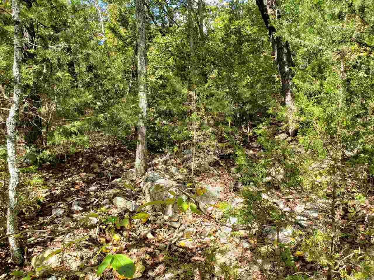 L-55 & 56 B-7  Lochloosa  Cherokee Village, AR