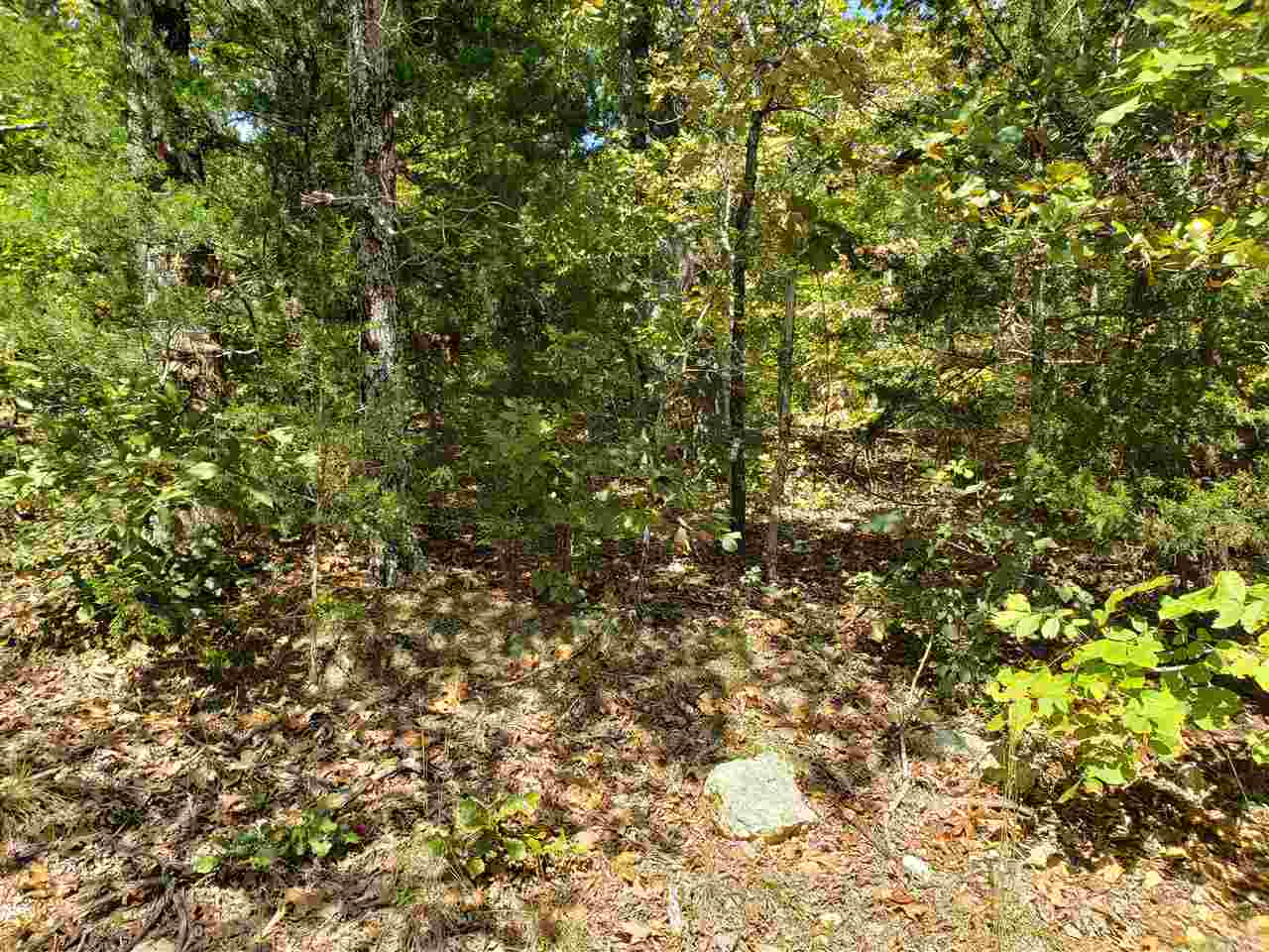 L-55 & 56 B-7  Lochloosa  Cherokee Village, AR
