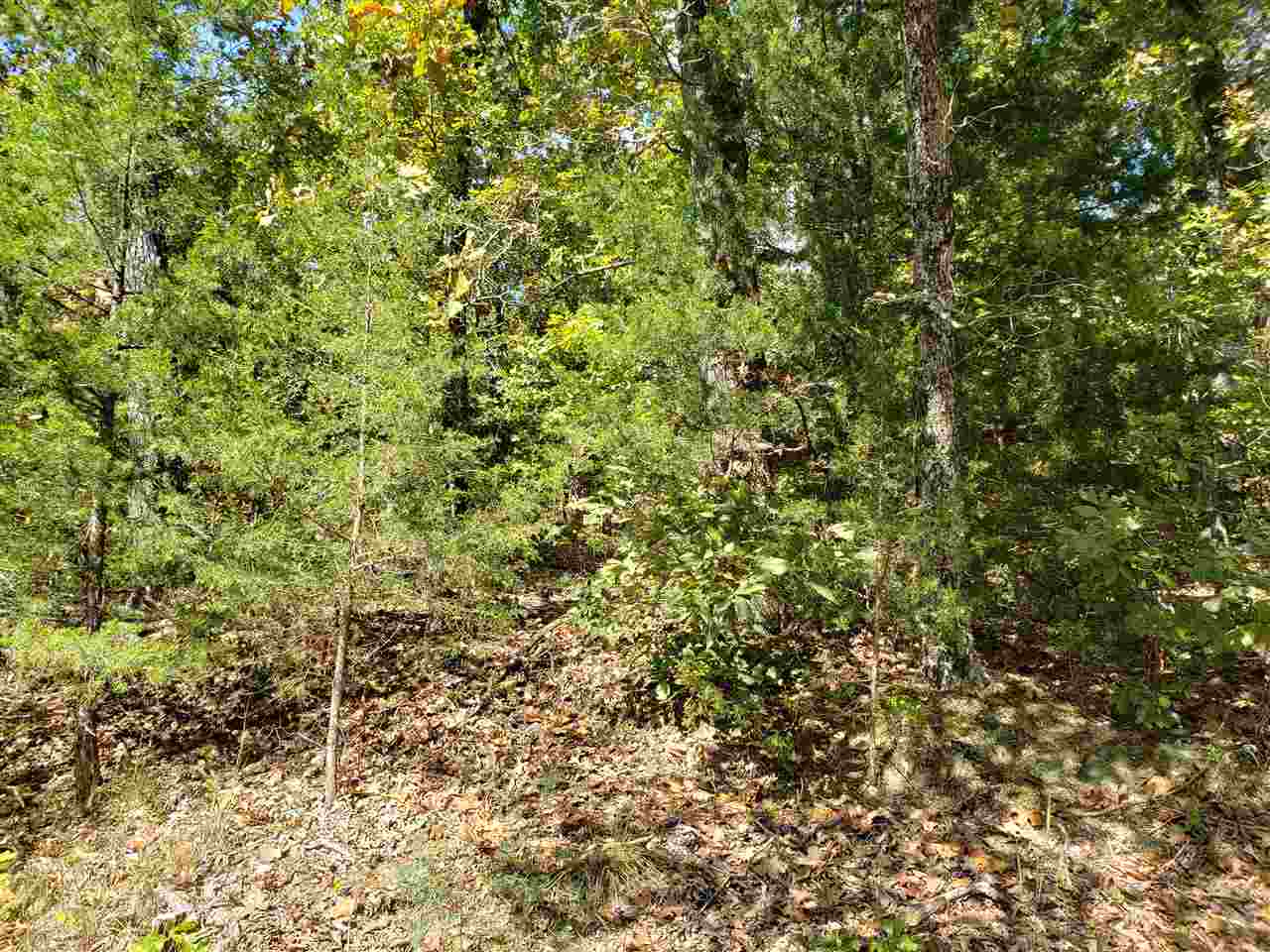L-55 & 56 B-7  Lochloosa  Cherokee Village, AR