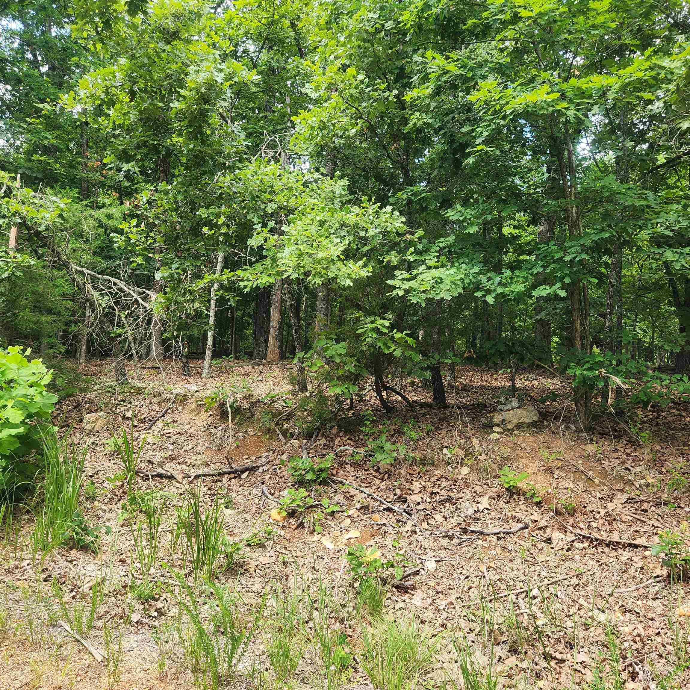 L-60, B-6  Anadarko  Cherokee Village, AR