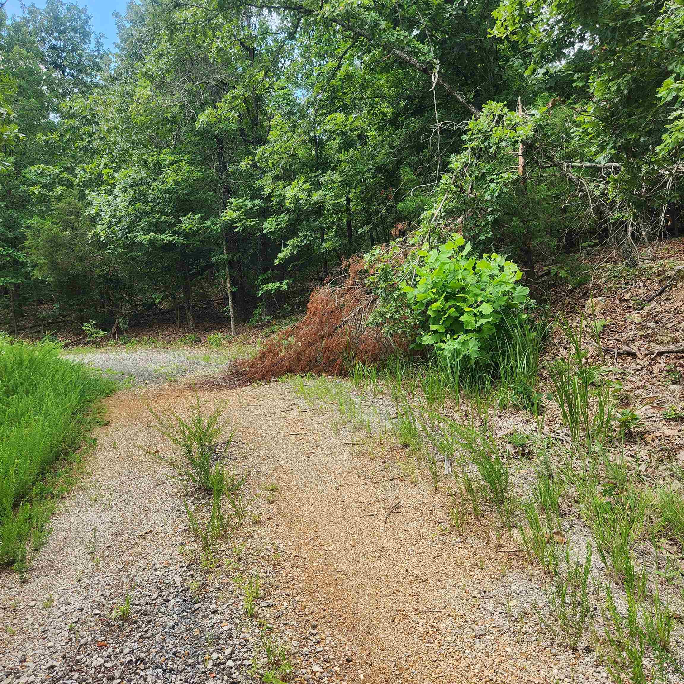 L-60, B-6  Anadarko  Cherokee Village, AR