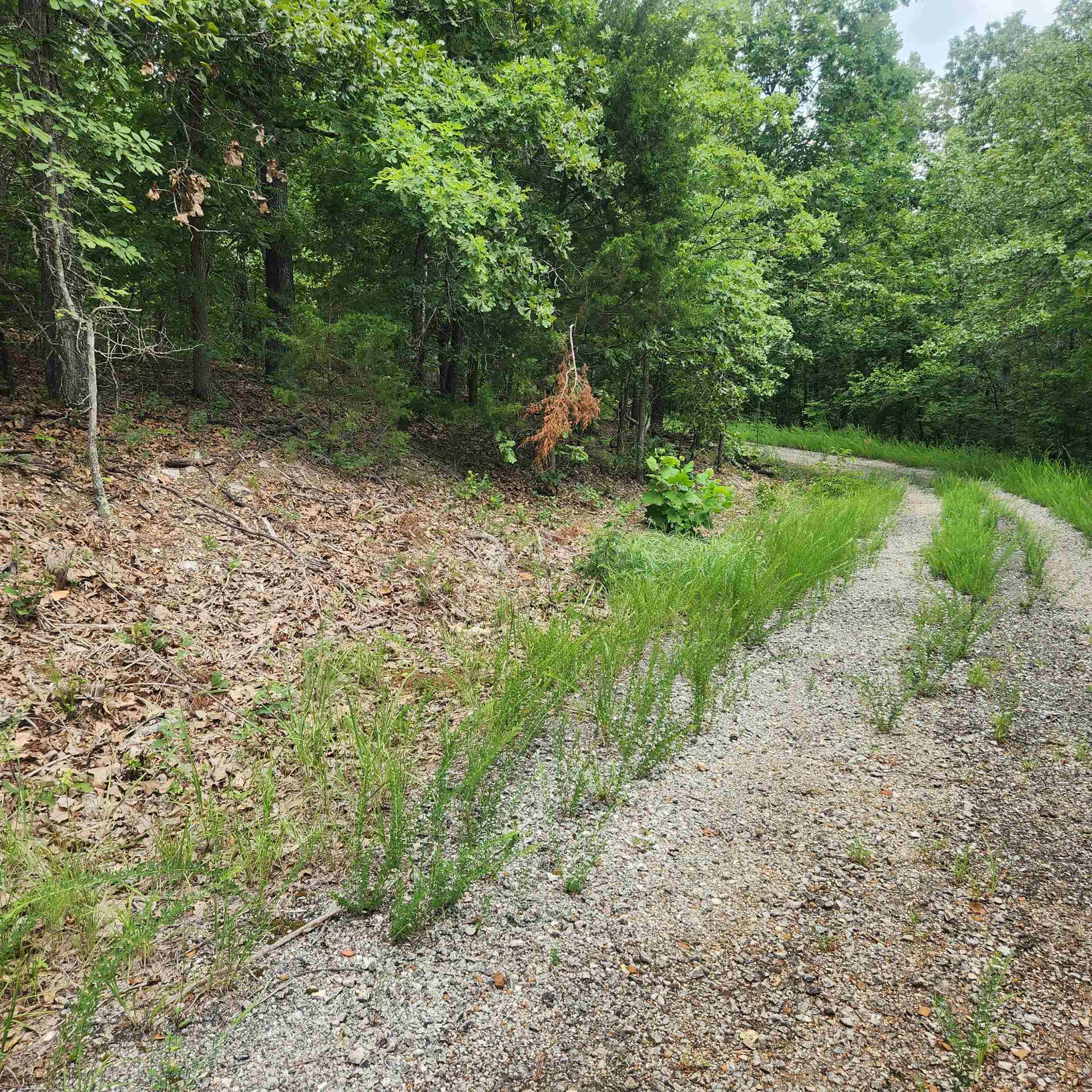 L-60, B-6  Anadarko  Cherokee Village, AR