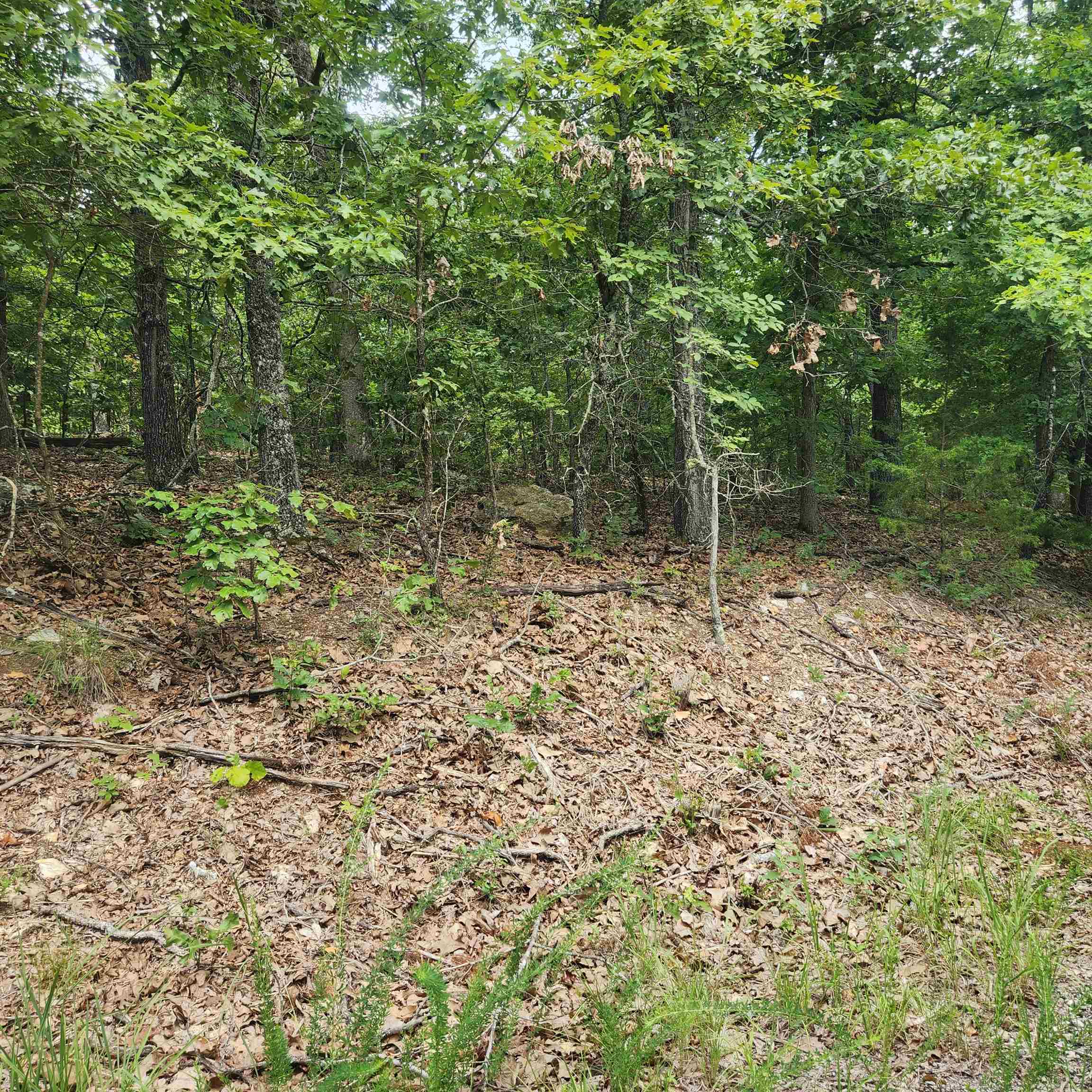 L-60, B-6  Anadarko  Cherokee Village, AR