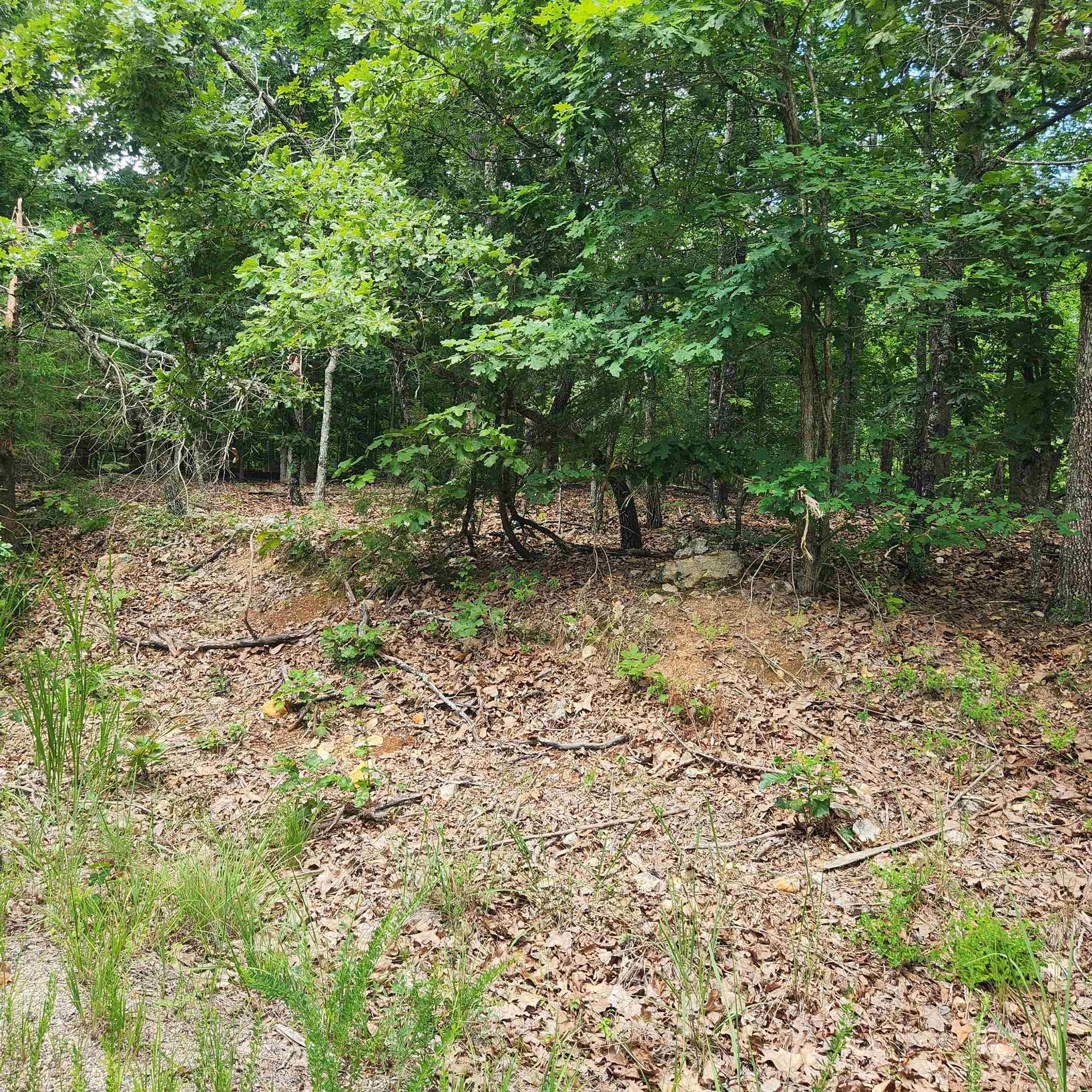 L-60, B-6  Anadarko  Cherokee Village, AR