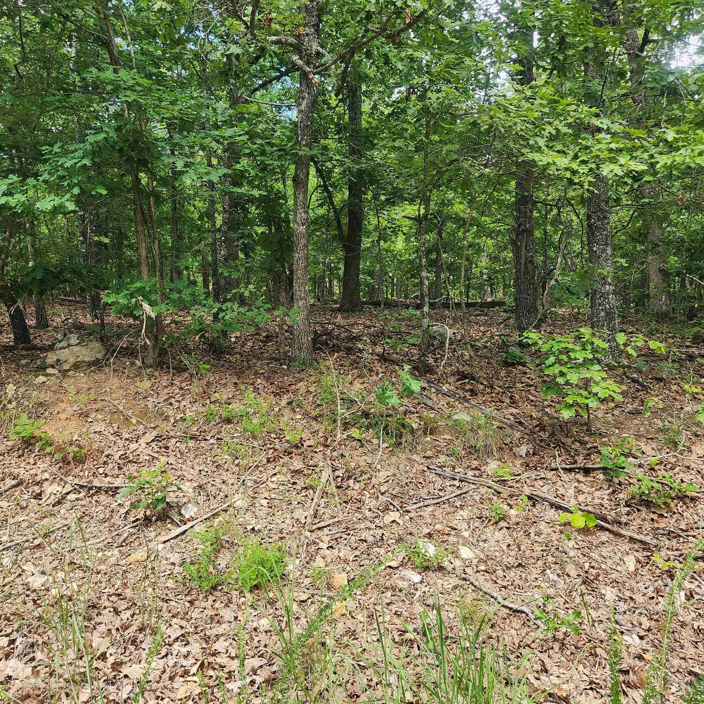 L-60, B-6  Anadarko  Cherokee Village, AR