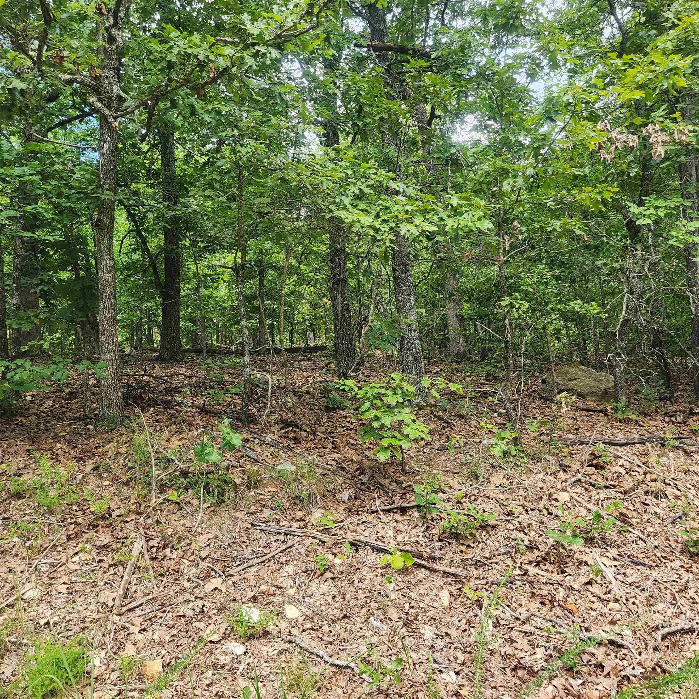 L-60, B-6  Anadarko  Cherokee Village, AR