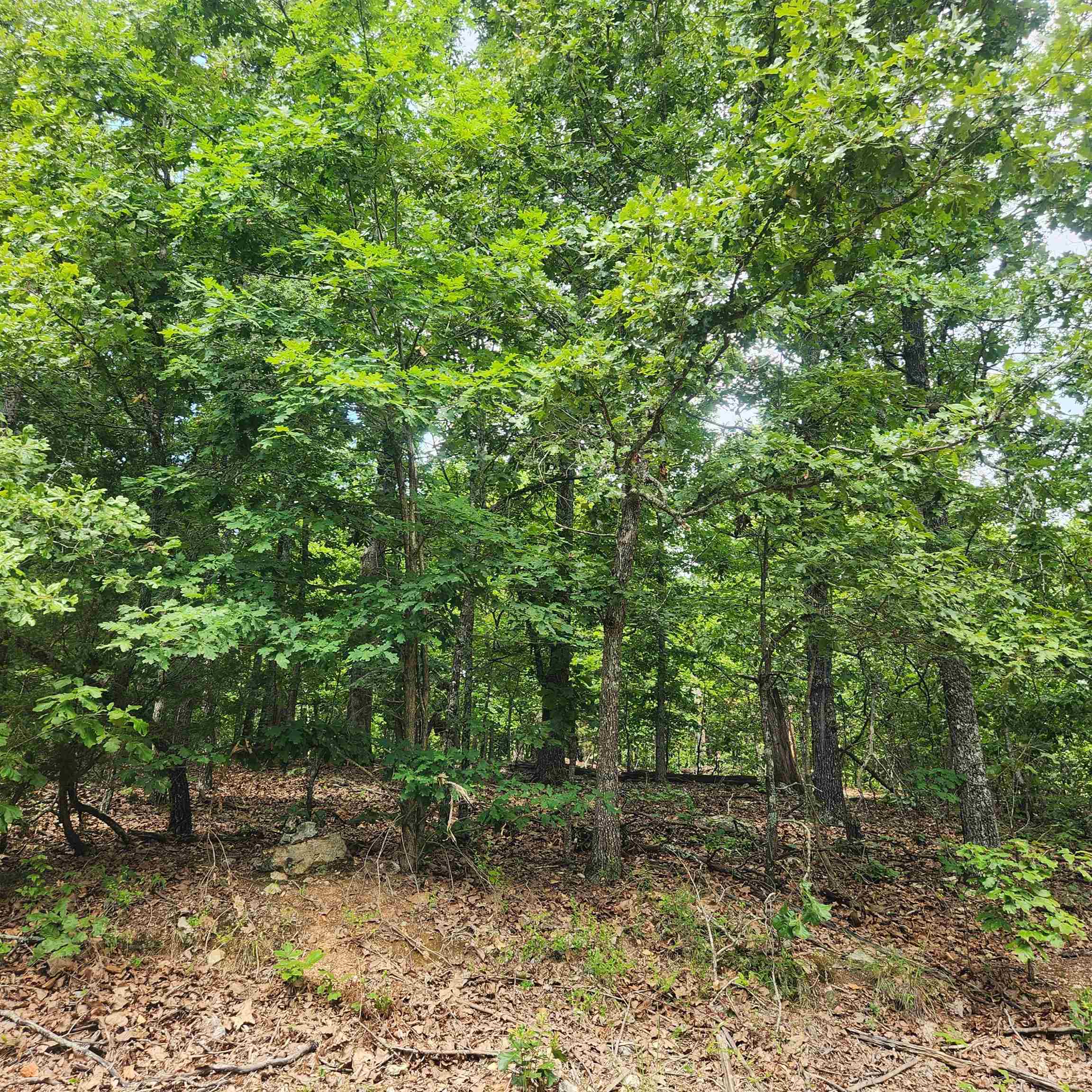 L-60, B-6  Anadarko  Cherokee Village, AR