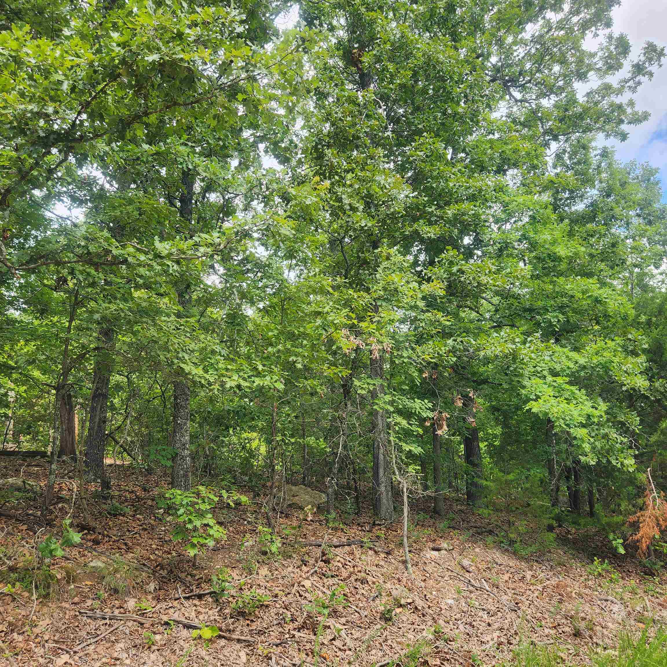 L-60, B-6  Anadarko  Cherokee Village, AR