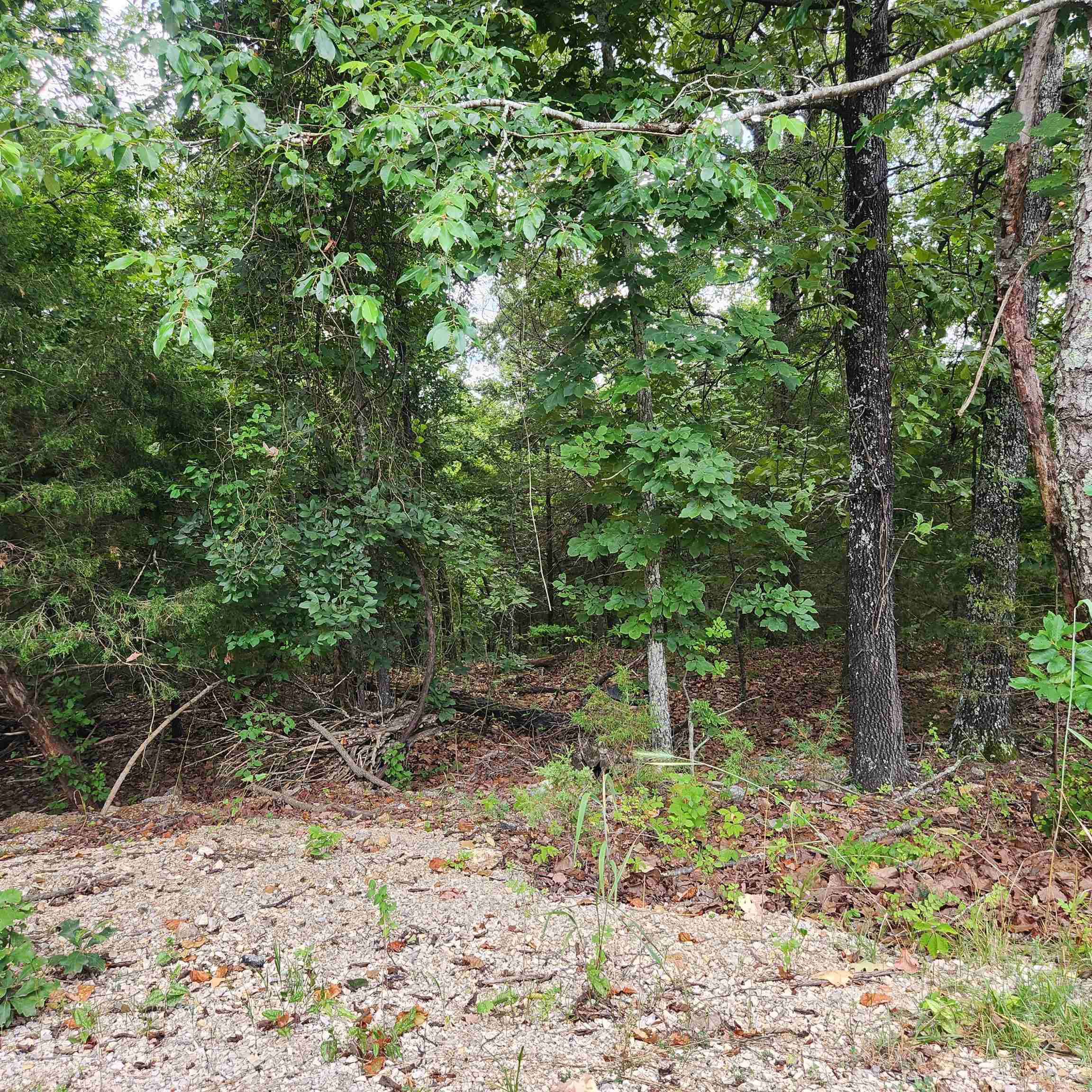 L-38 B-4  Topez  Cherokee Village, AR