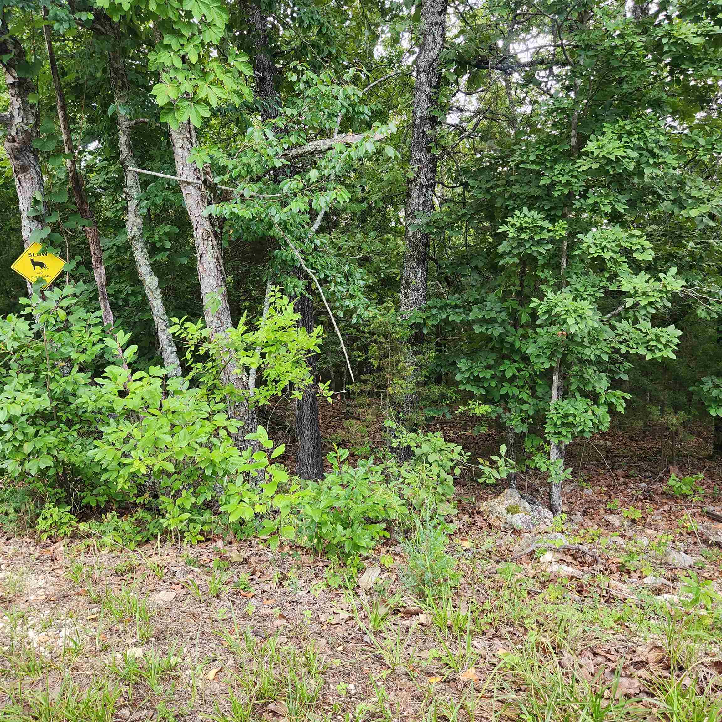 L-38 B-4  Topez  Cherokee Village, AR