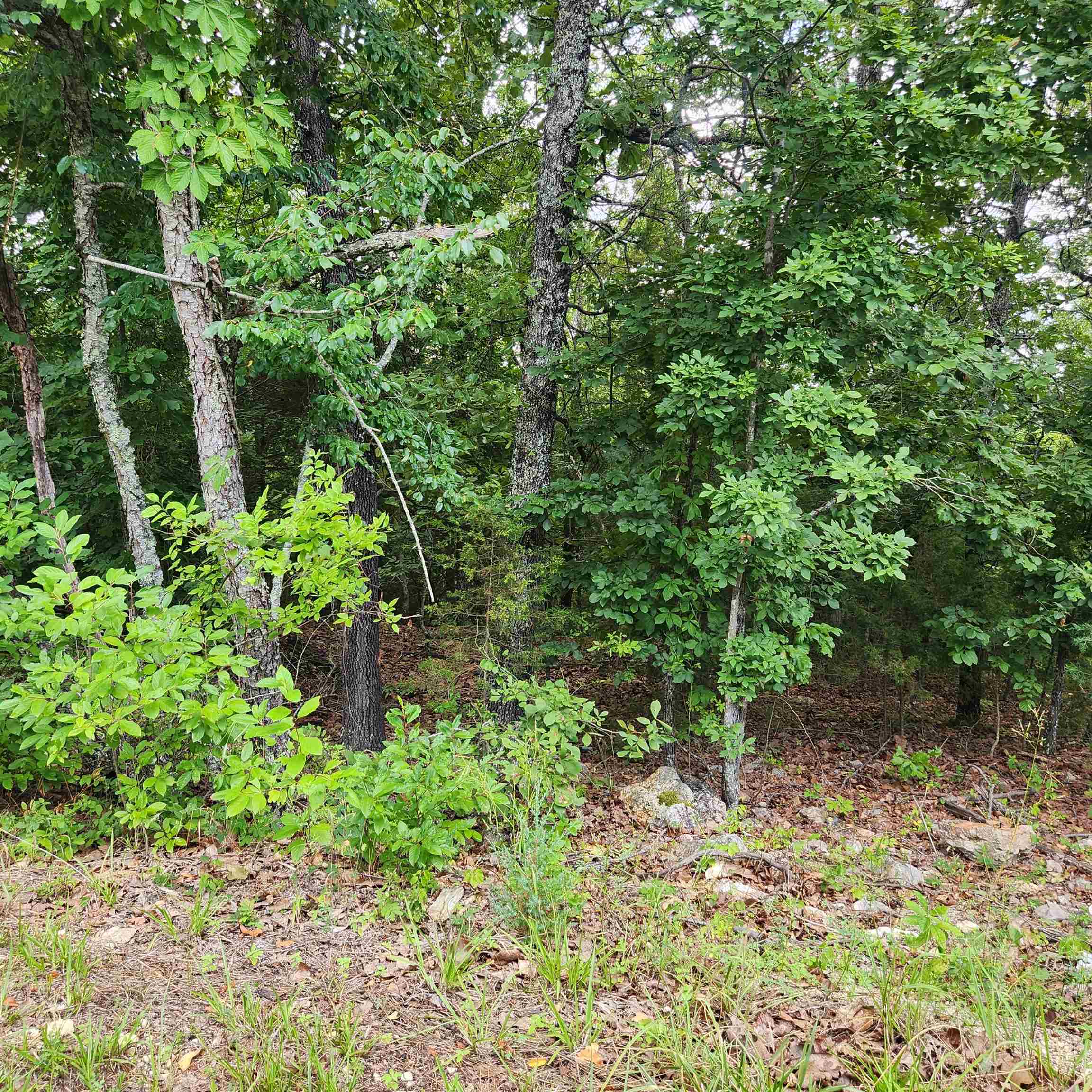 L-38 B-4  Topez  Cherokee Village, AR
