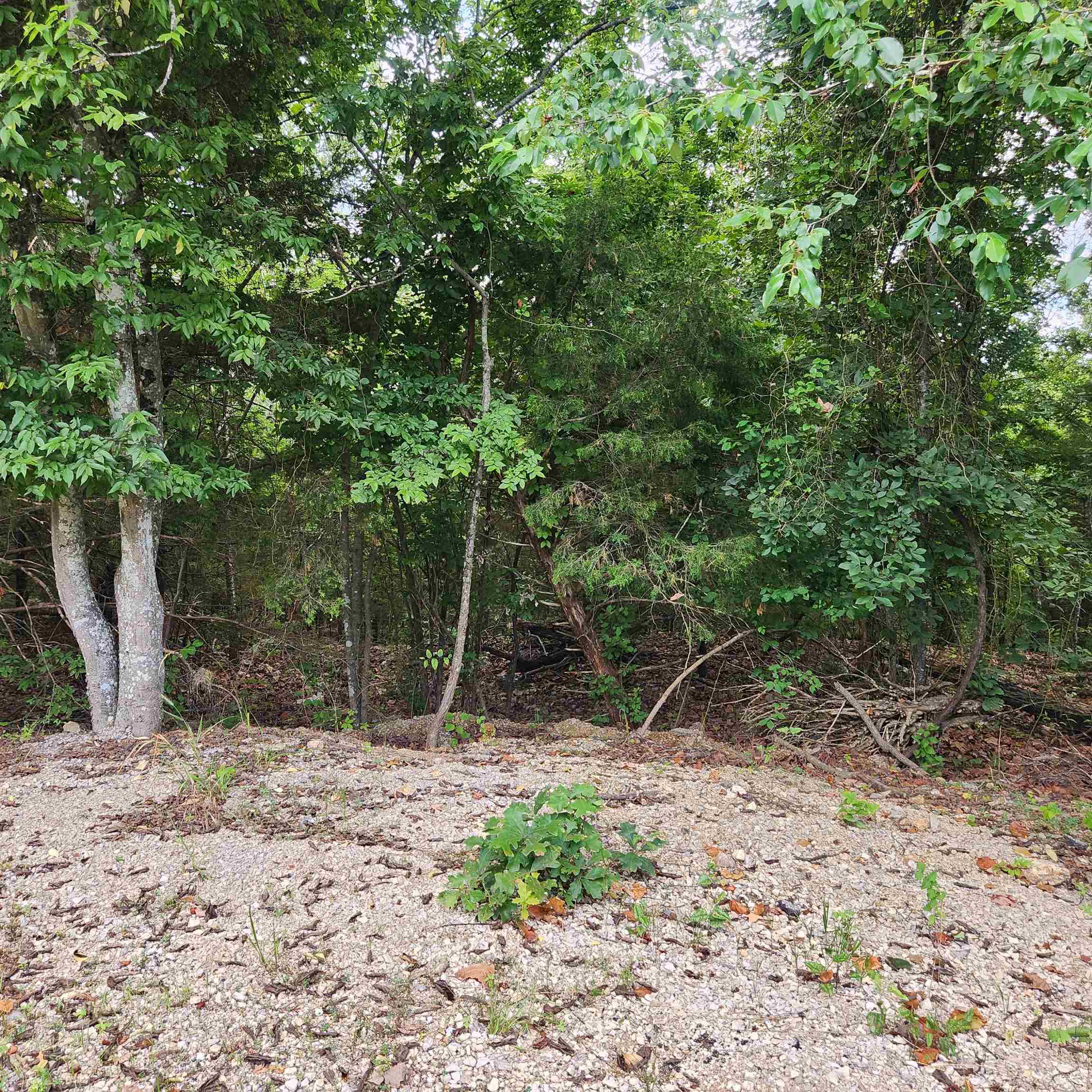L-38 B-4  Topez  Cherokee Village, AR