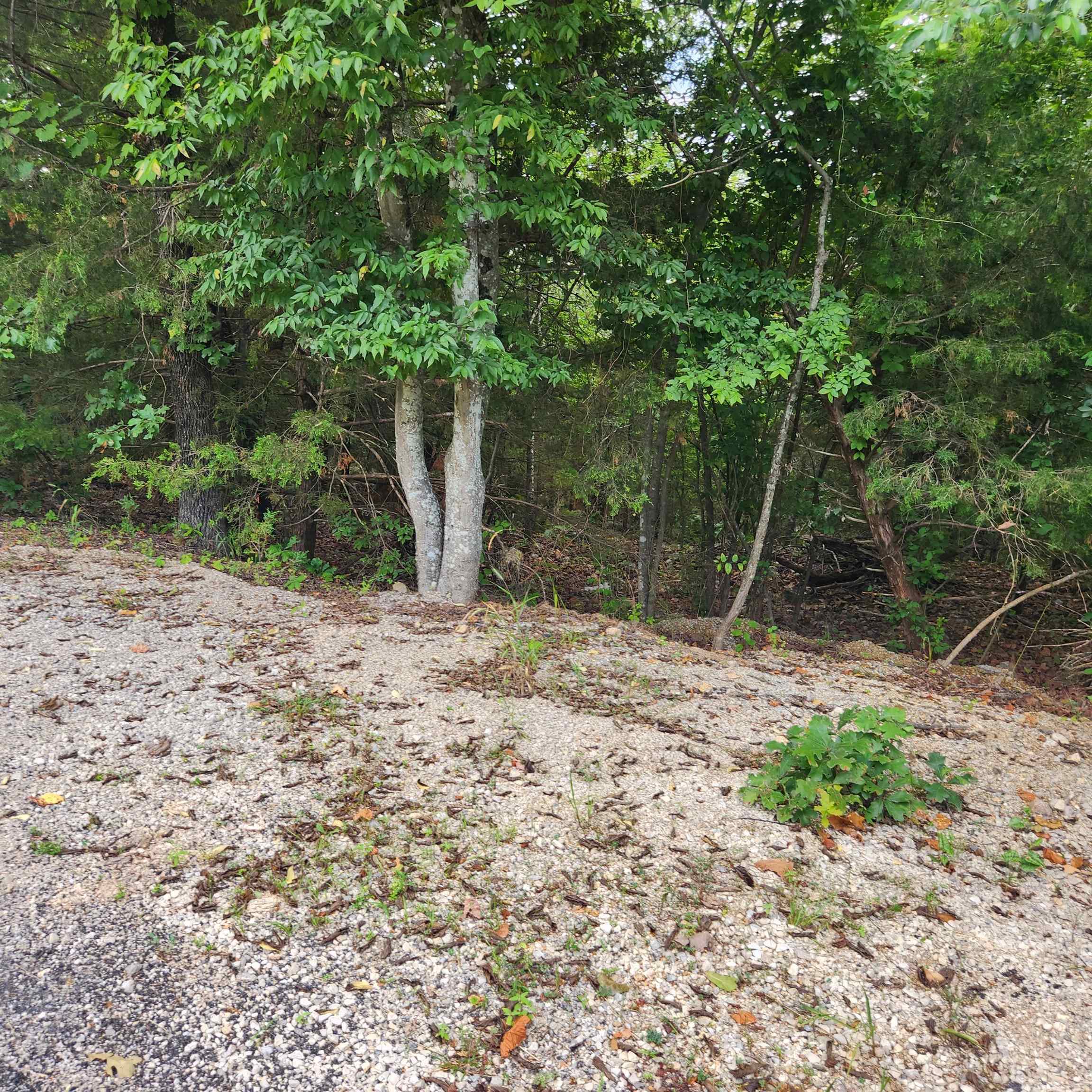 L-38 B-4  Topez  Cherokee Village, AR