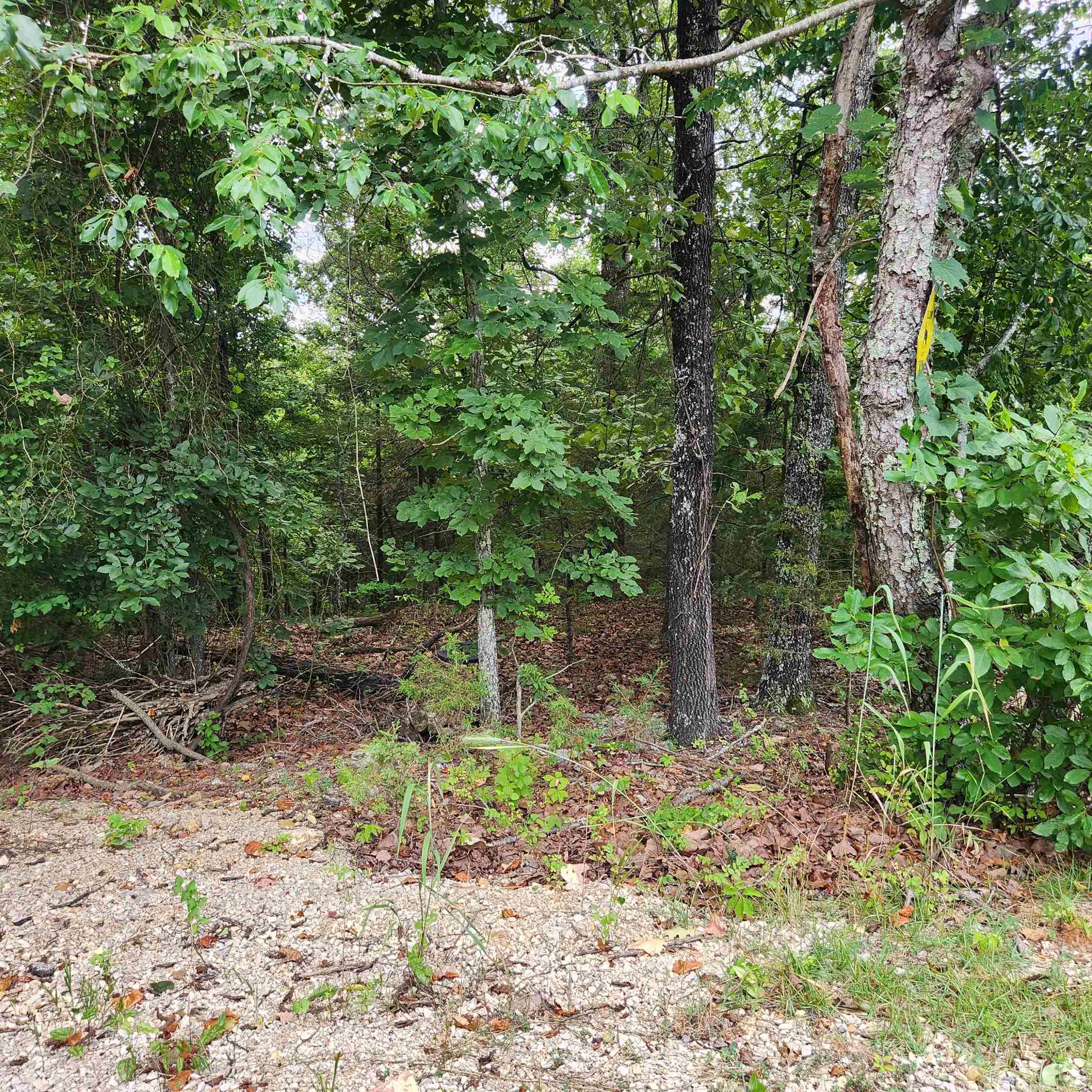 L-38 B-4  Topez  Cherokee Village, AR