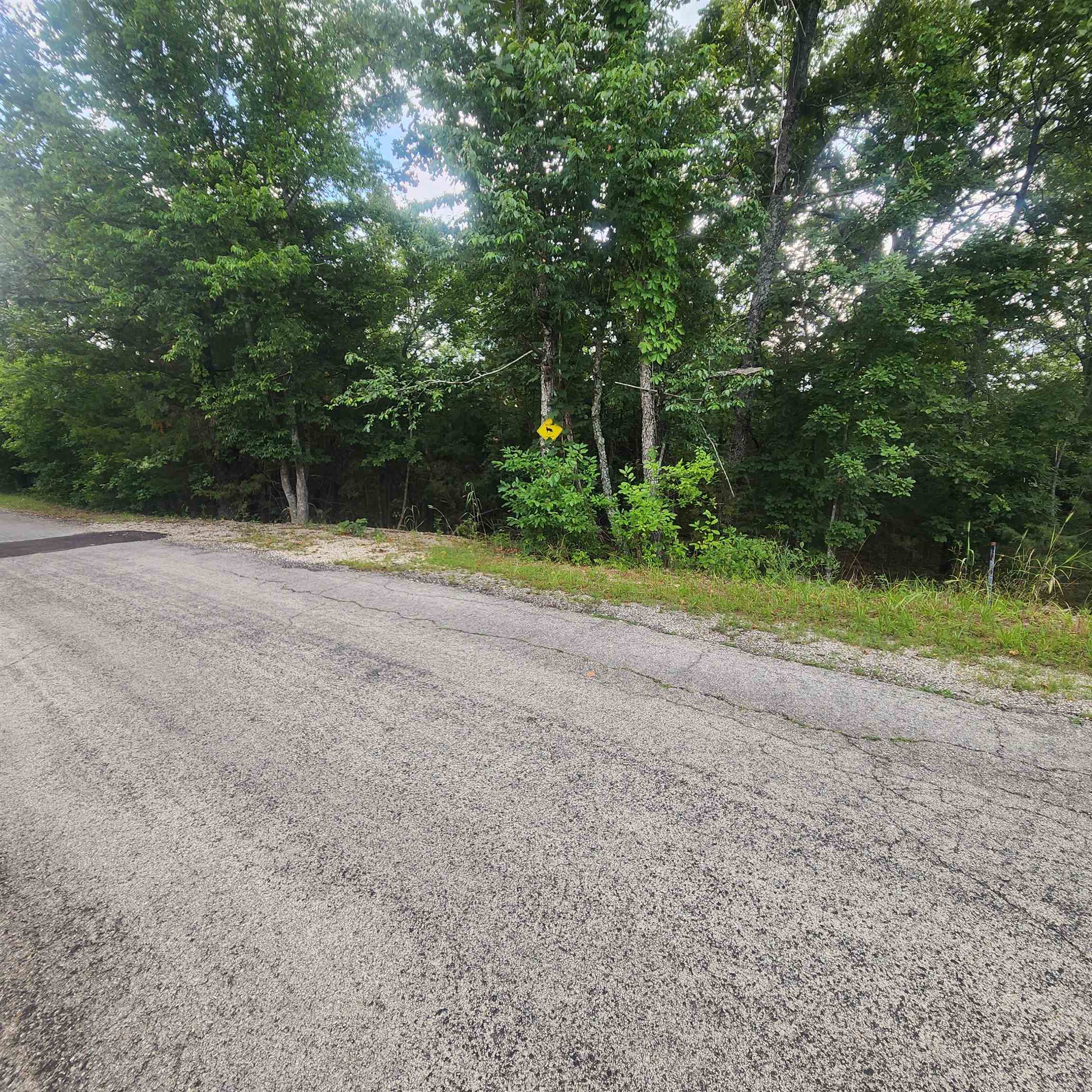 L-38 B-4  Topez  Cherokee Village, AR