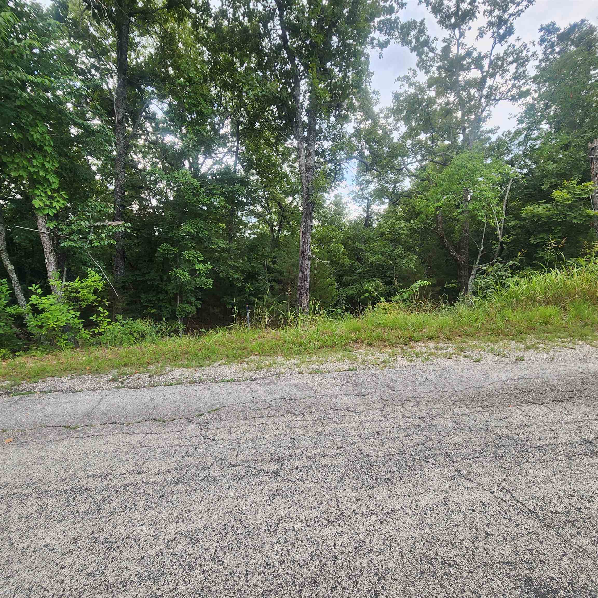 L-38 B-4  Topez  Cherokee Village, AR
