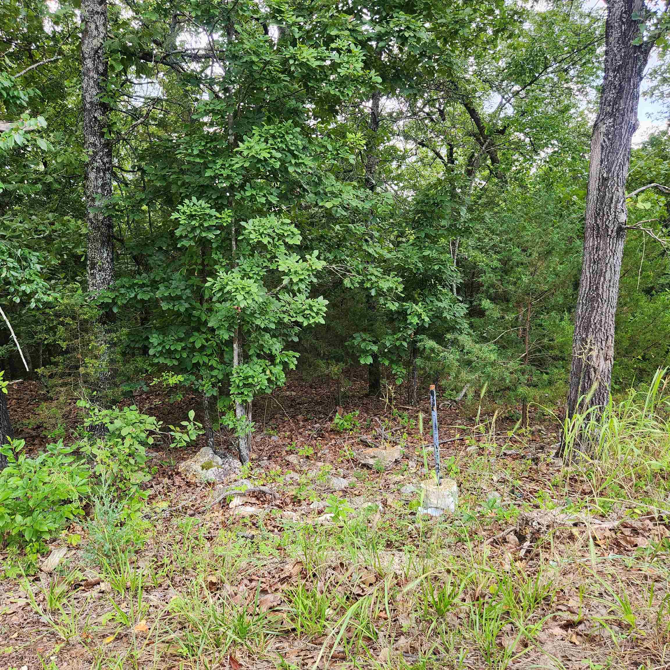L-38 B-4  Topez  Cherokee Village, AR