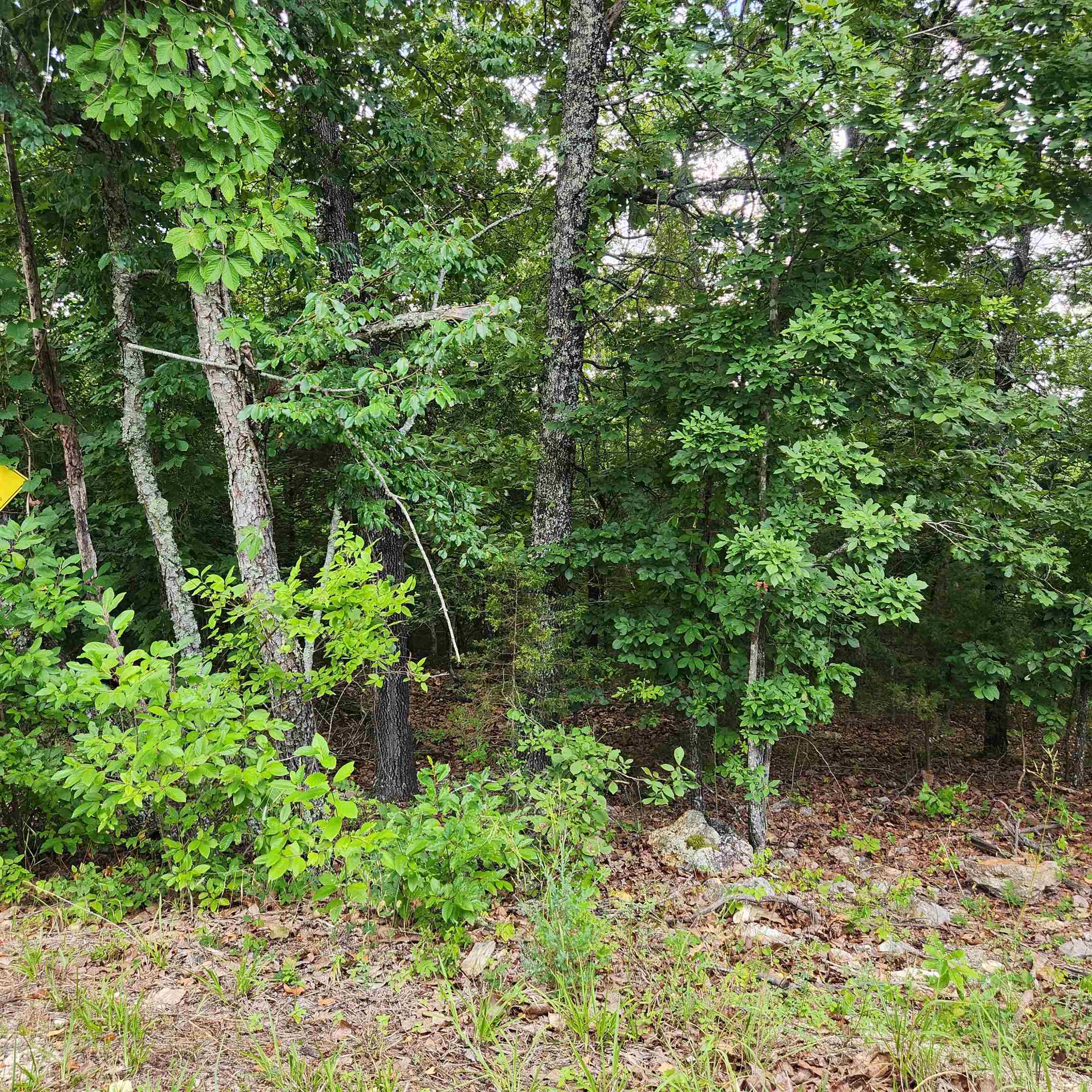 L-38 B-4  Topez  Cherokee Village, AR