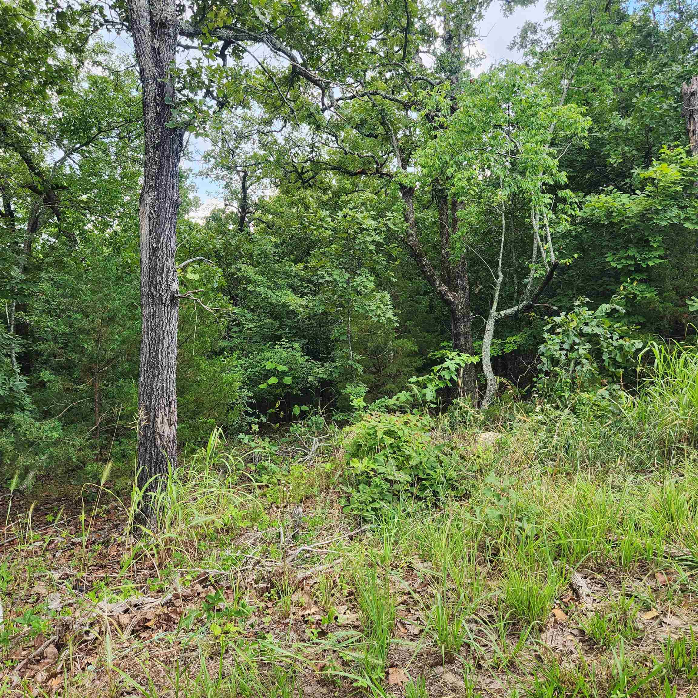 L-38 B-4  Topez  Cherokee Village, AR