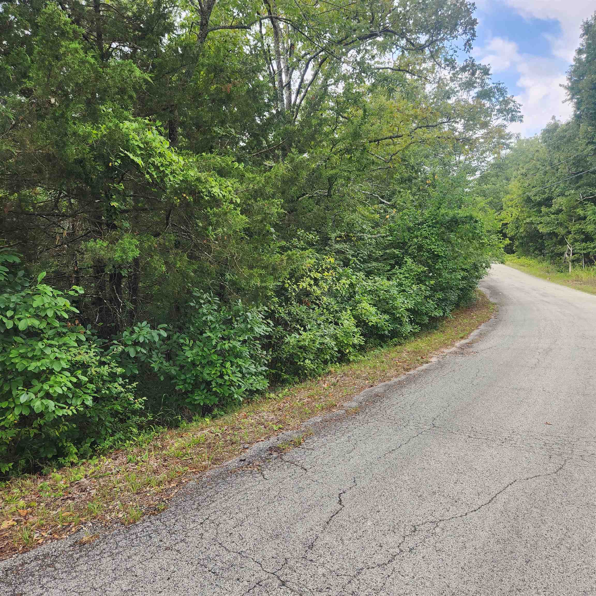 L-22, B-4  Topez  Cherokee Village, AR