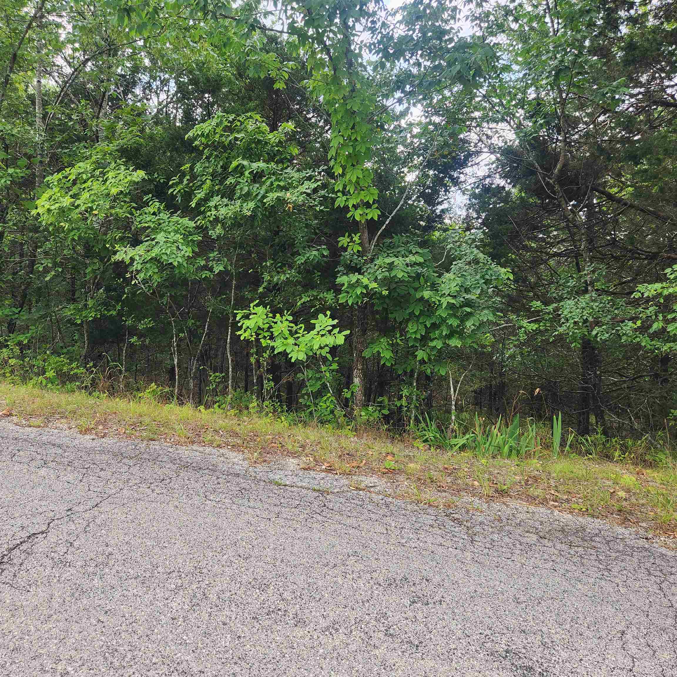 L-22, B-4  Topez  Cherokee Village, AR