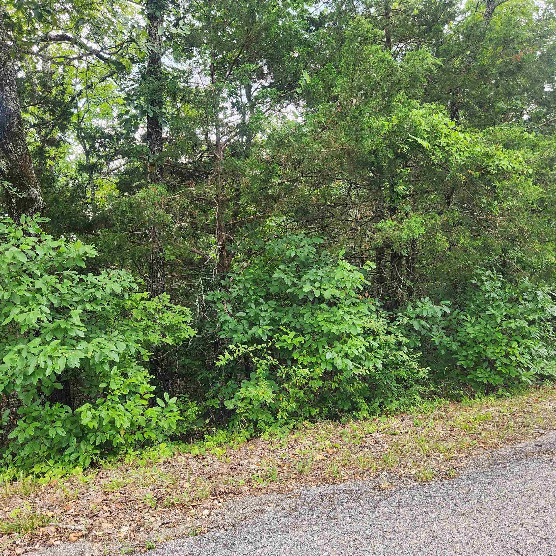 L-22, B-4  Topez  Cherokee Village, AR