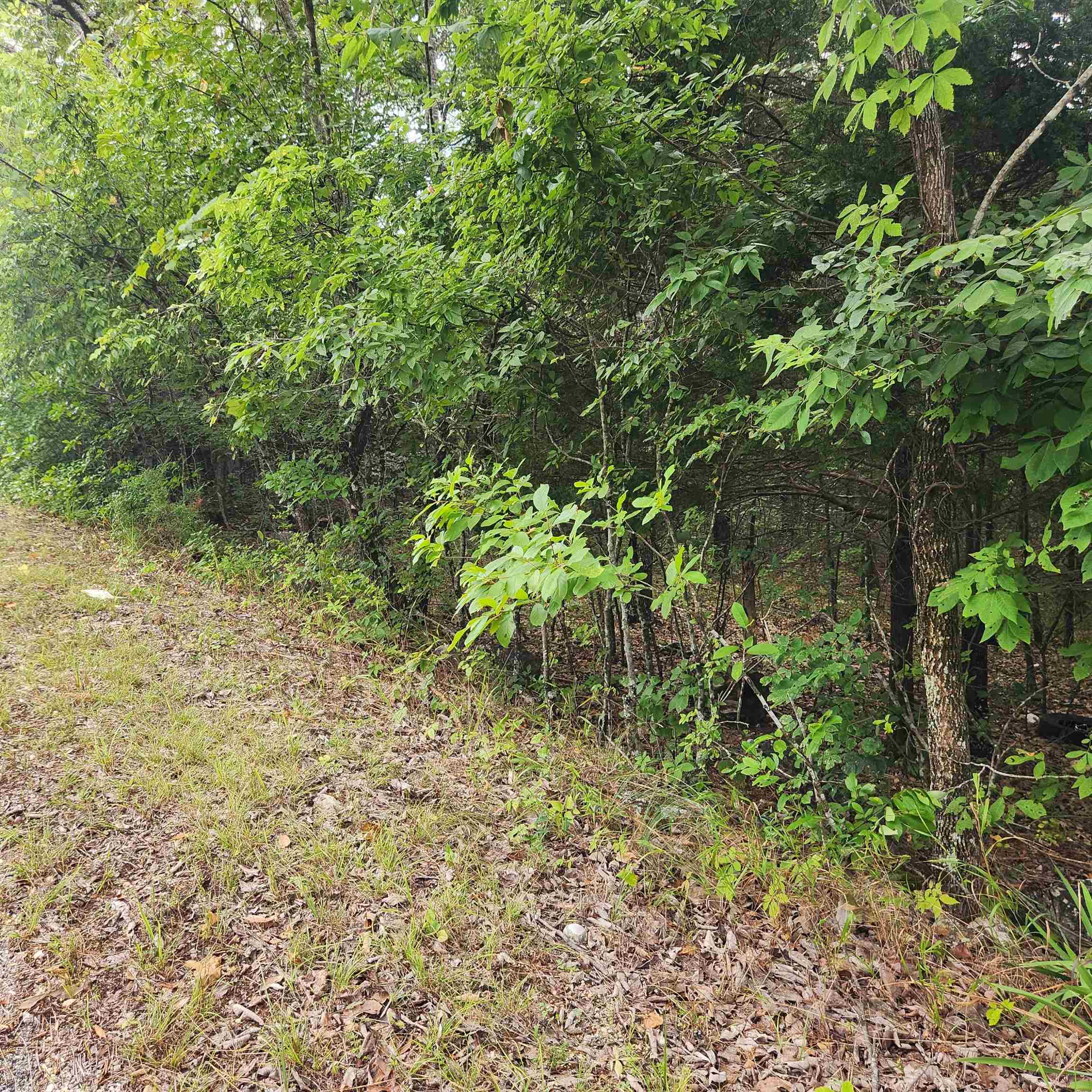 L-22, B-4  Topez  Cherokee Village, AR