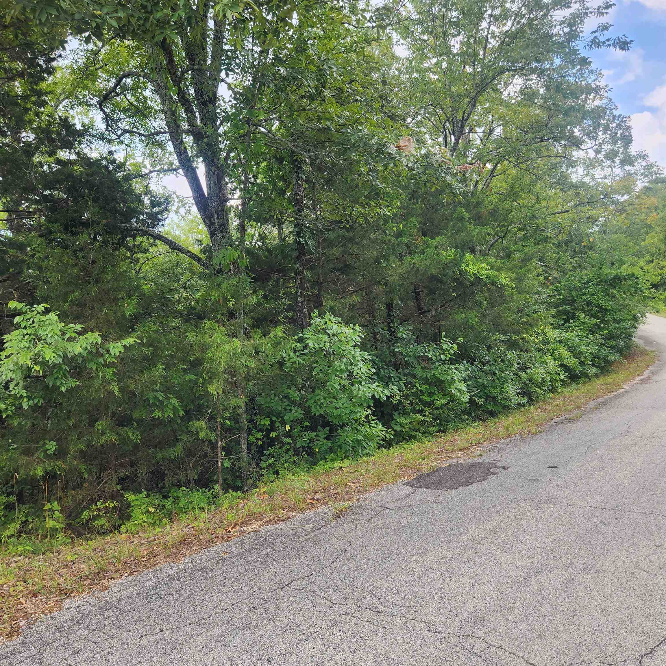 L-22, B-4  Topez  Cherokee Village, AR