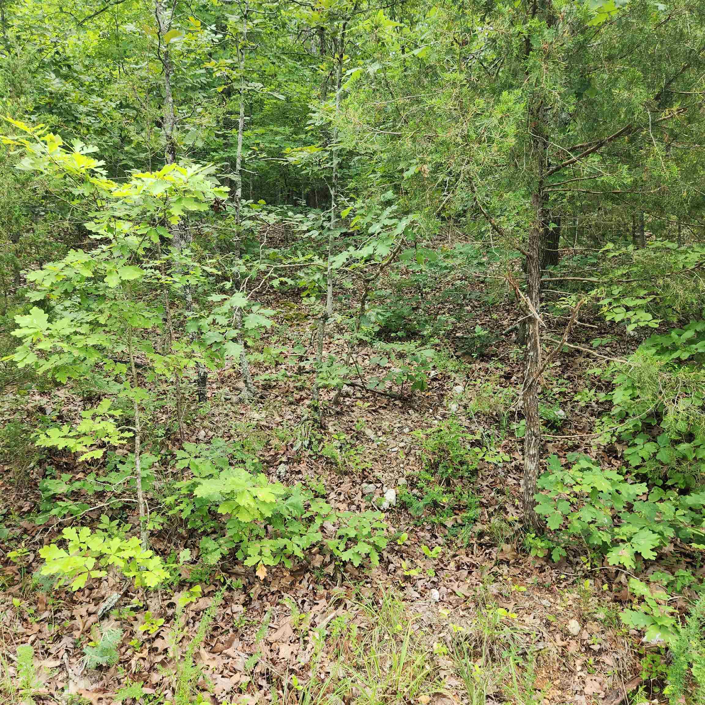 L-137, B-18  Tampa  Cherokee Village, AR