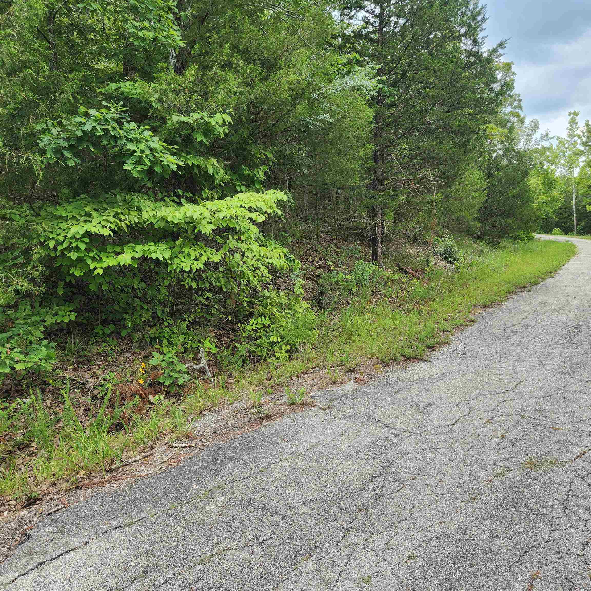 L-137, B-18  Tampa  Cherokee Village, AR