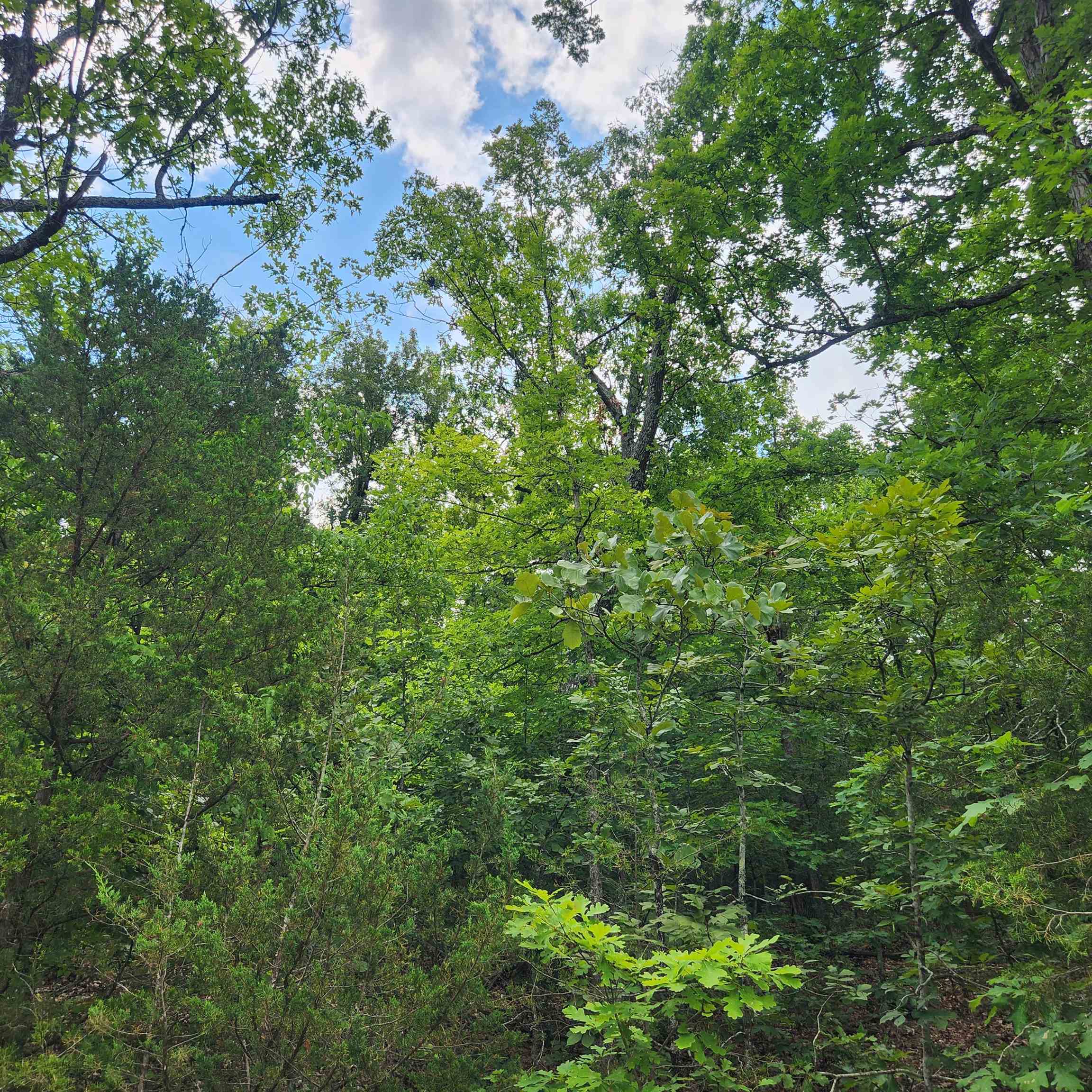 L-137, B-18  Tampa  Cherokee Village, AR
