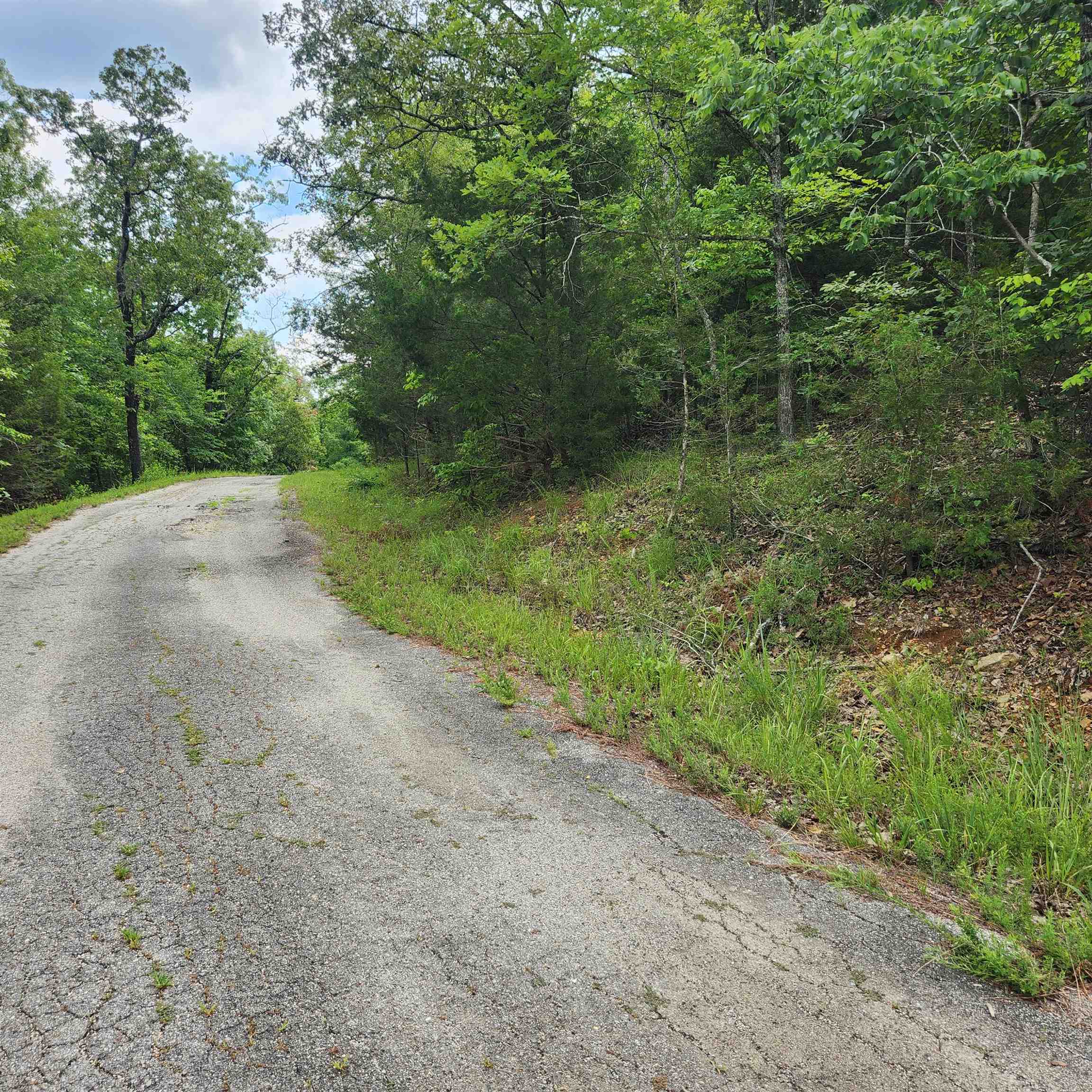 L-137, B-18  Tampa  Cherokee Village, AR