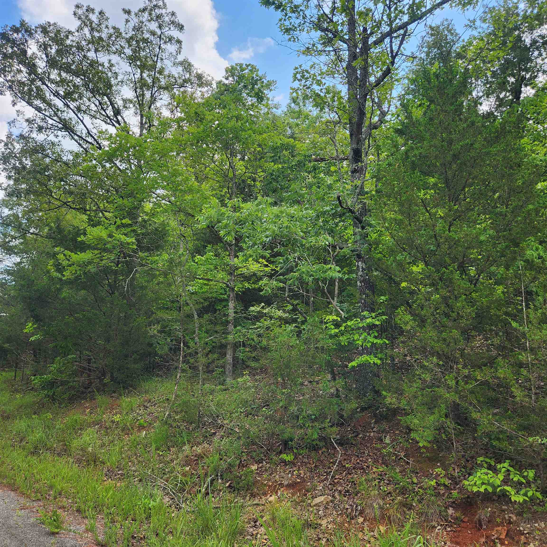 L-137, B-18  Tampa  Cherokee Village, AR