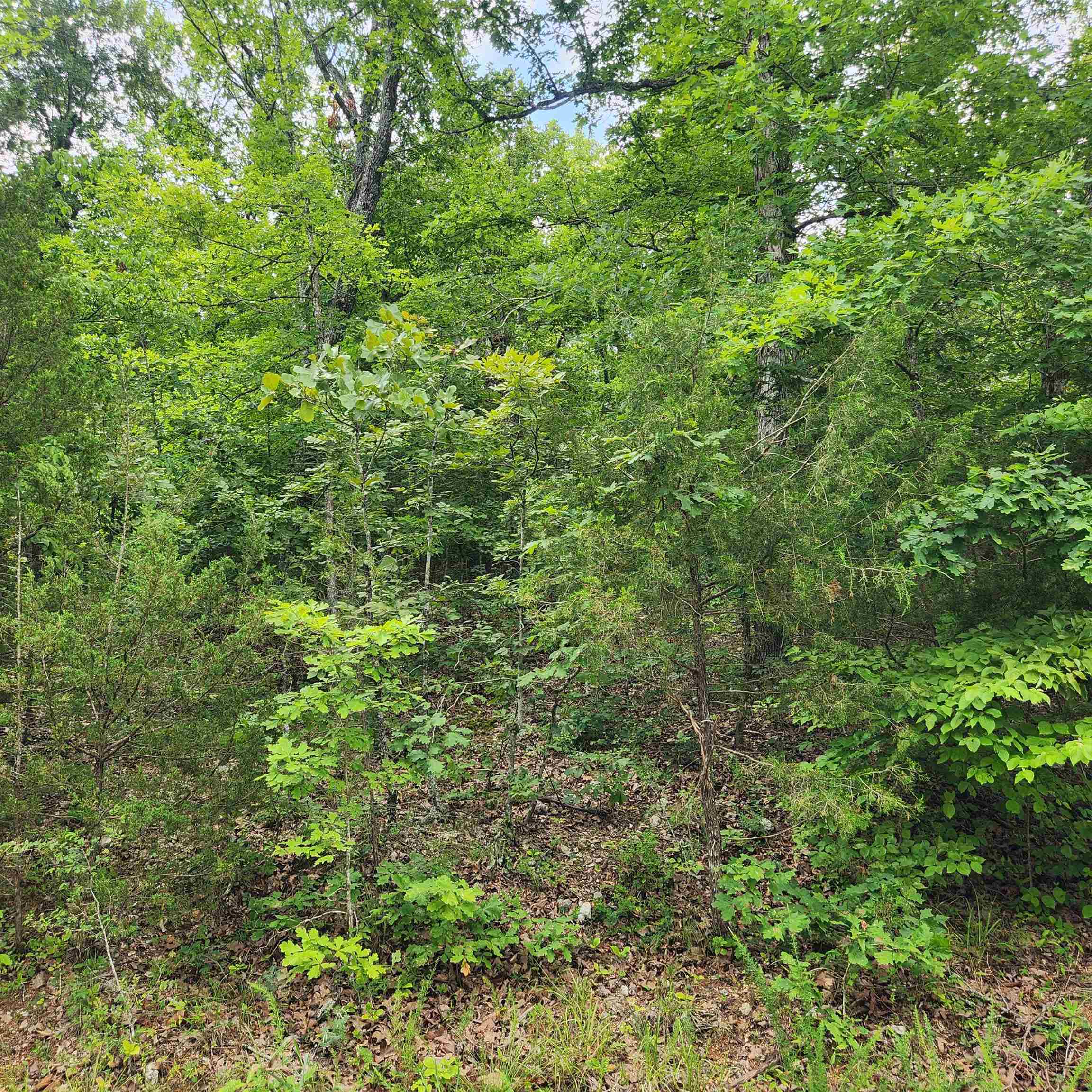 L-137, B-18  Tampa  Cherokee Village, AR