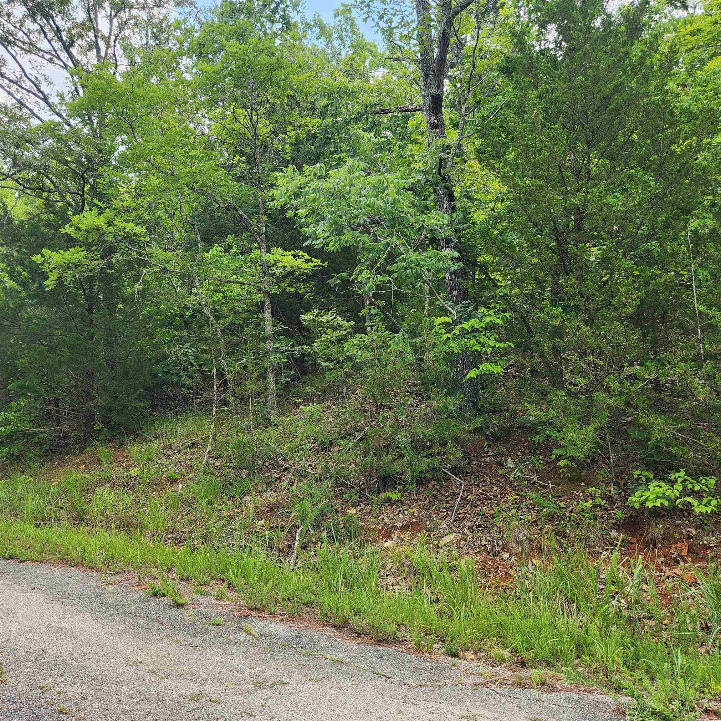 L-137, B-18  Tampa  Cherokee Village, AR