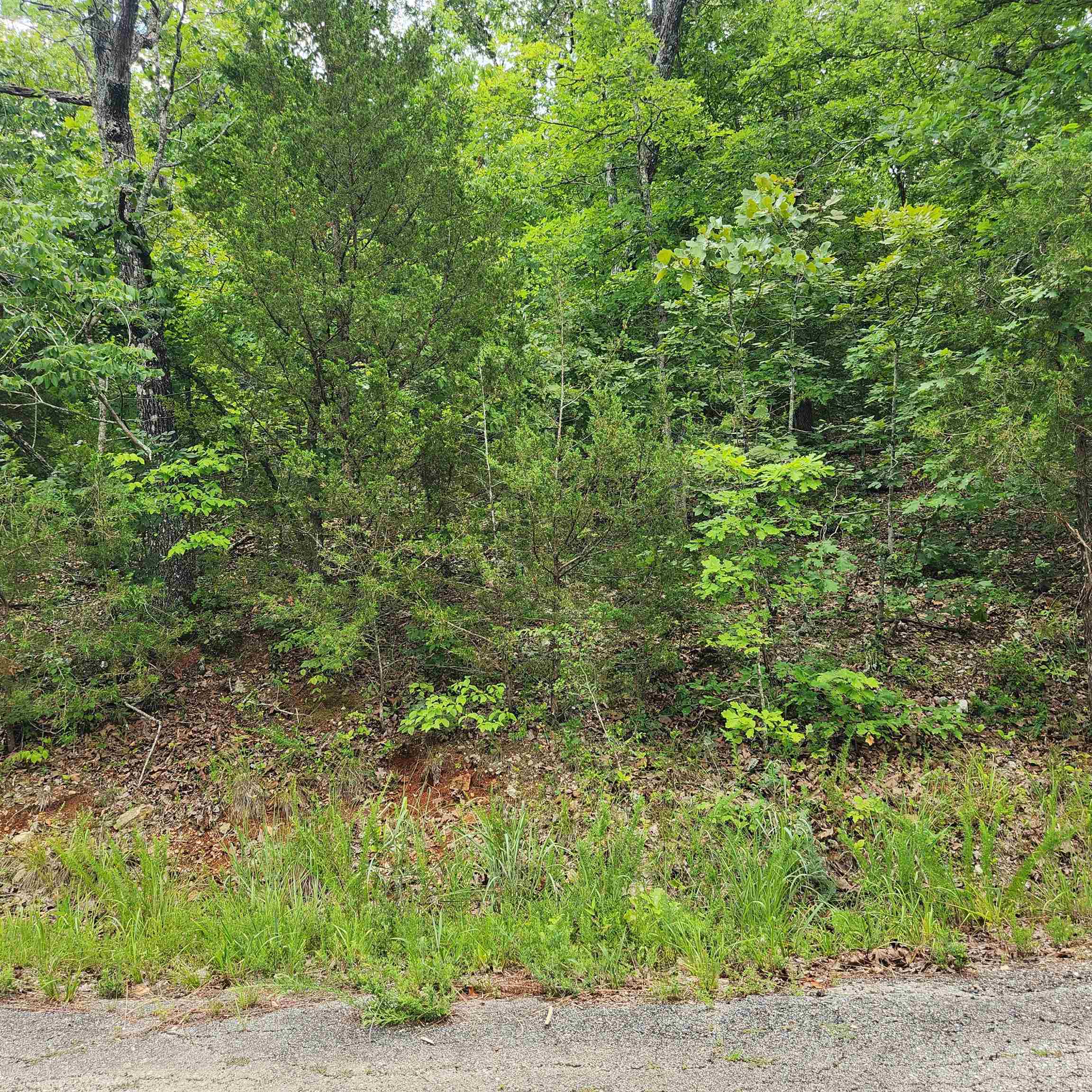 L-137, B-18  Tampa  Cherokee Village, AR