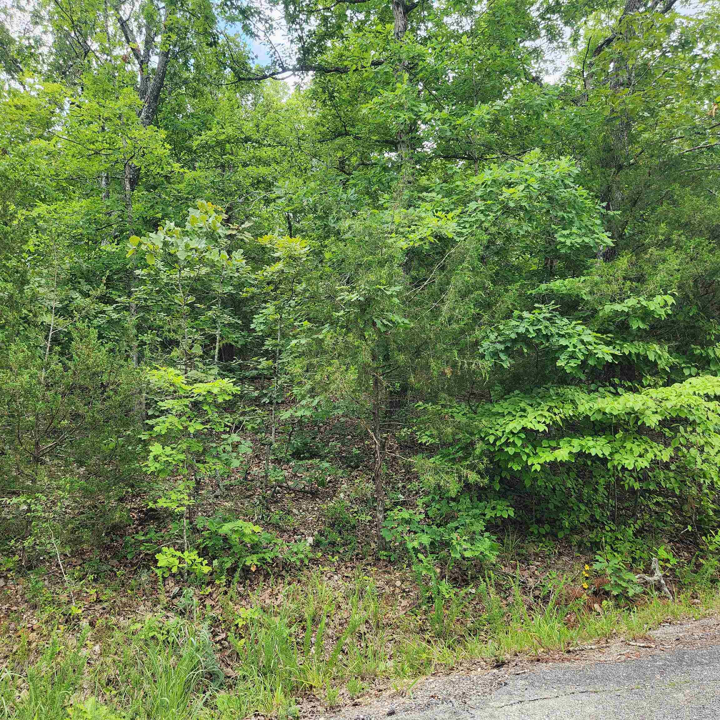 L-137, B-18  Tampa  Cherokee Village, AR