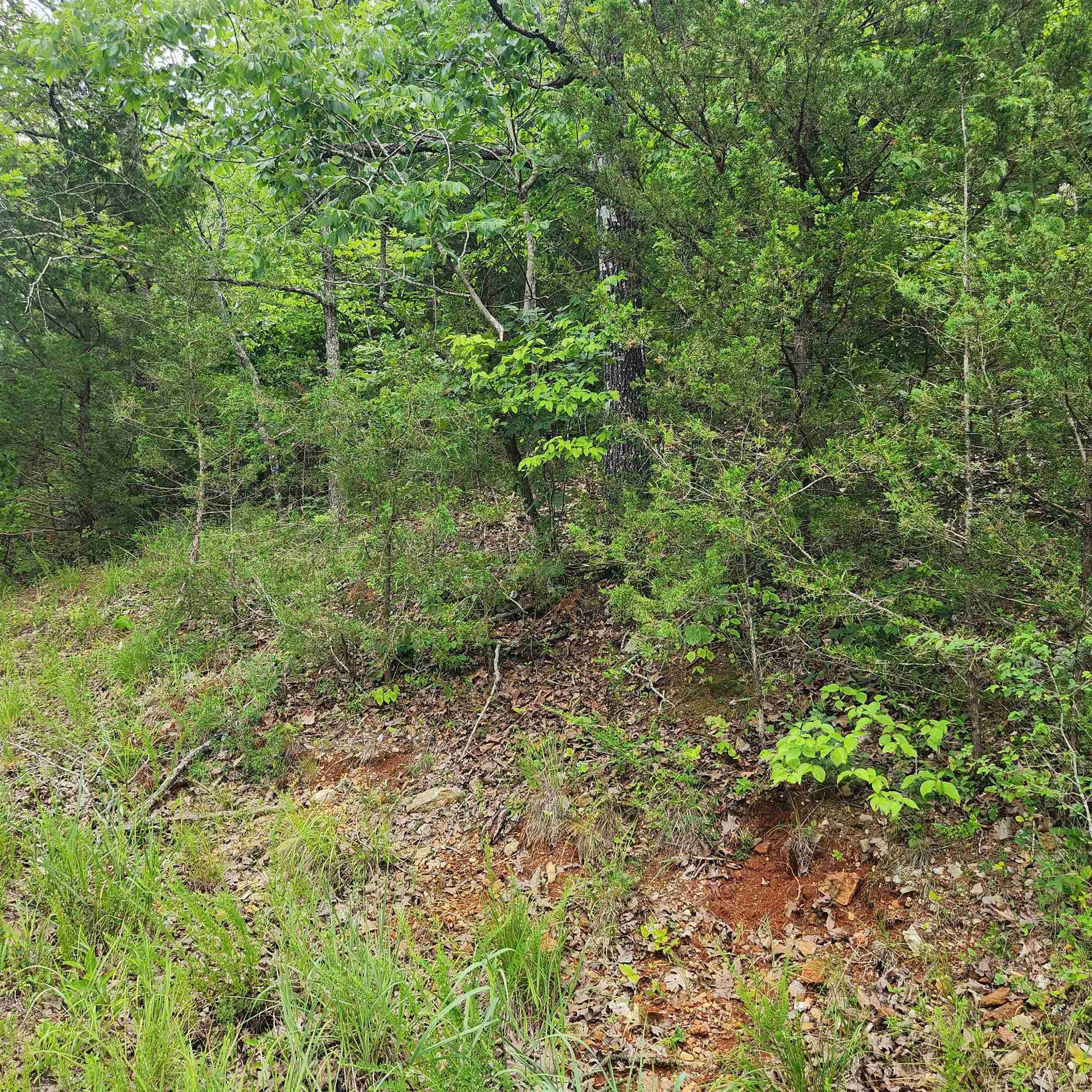 L-137, B-18  Tampa  Cherokee Village, AR