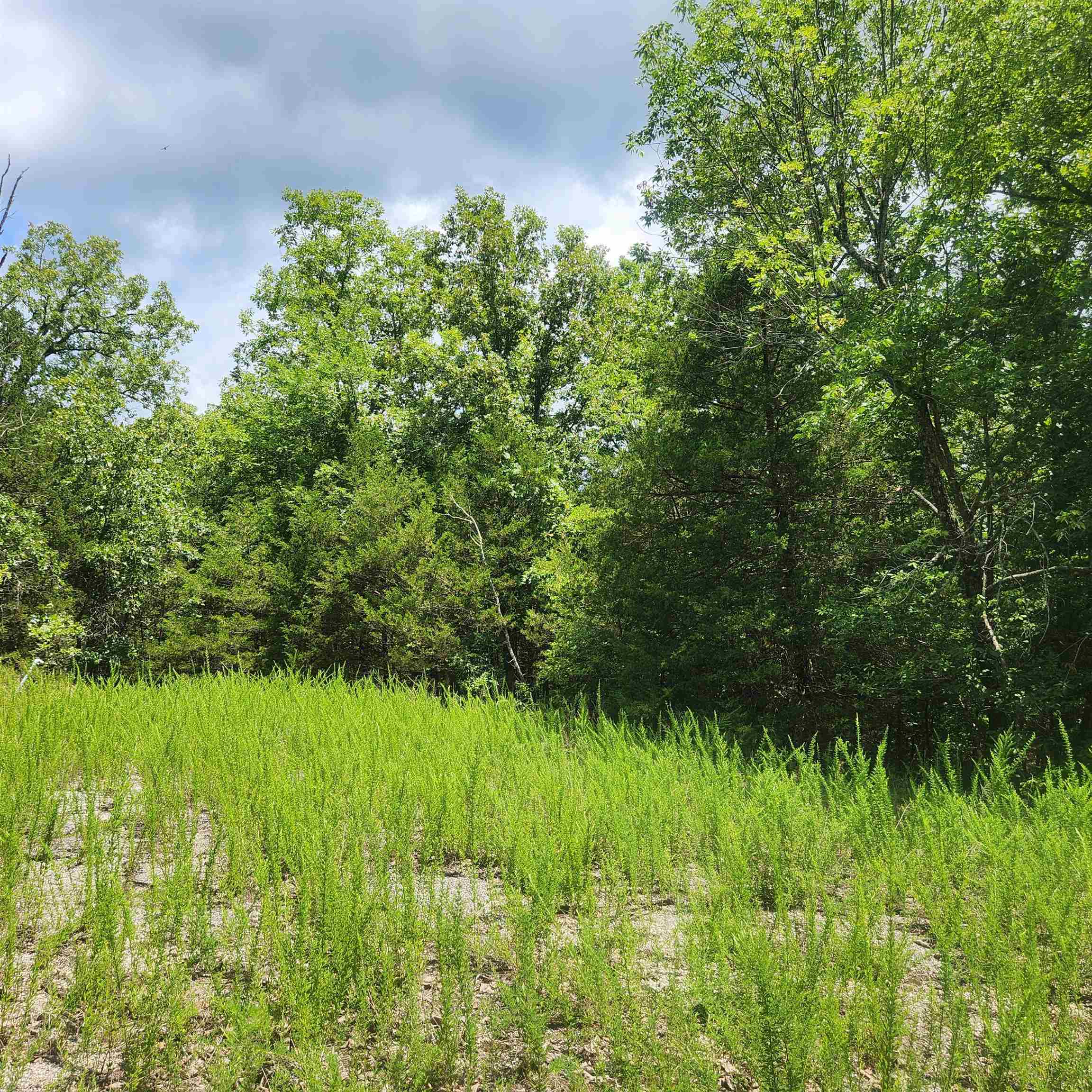 L-83, B-4  Hernando  Cherokee Village, AR