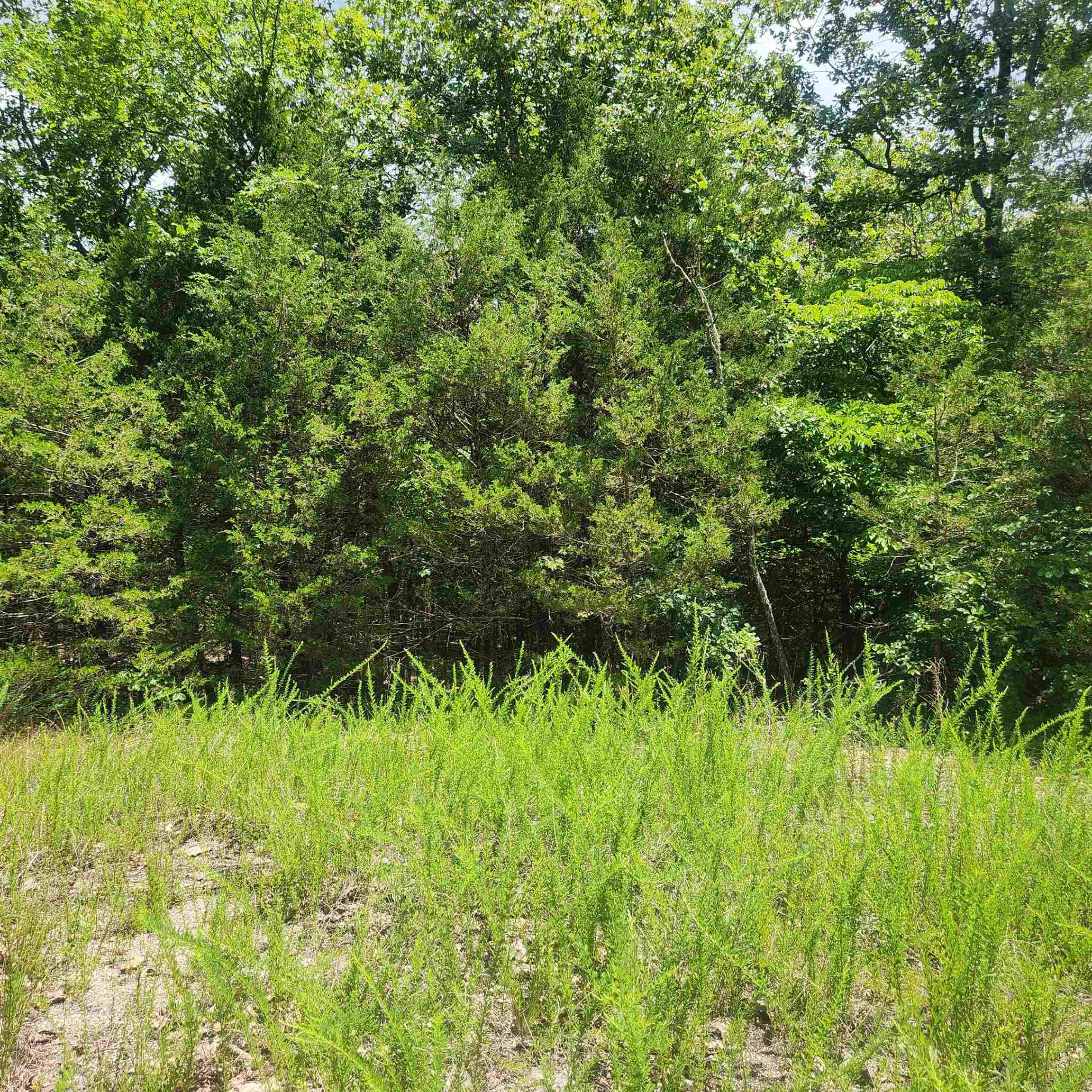L-83, B-4  Hernando  Cherokee Village, AR