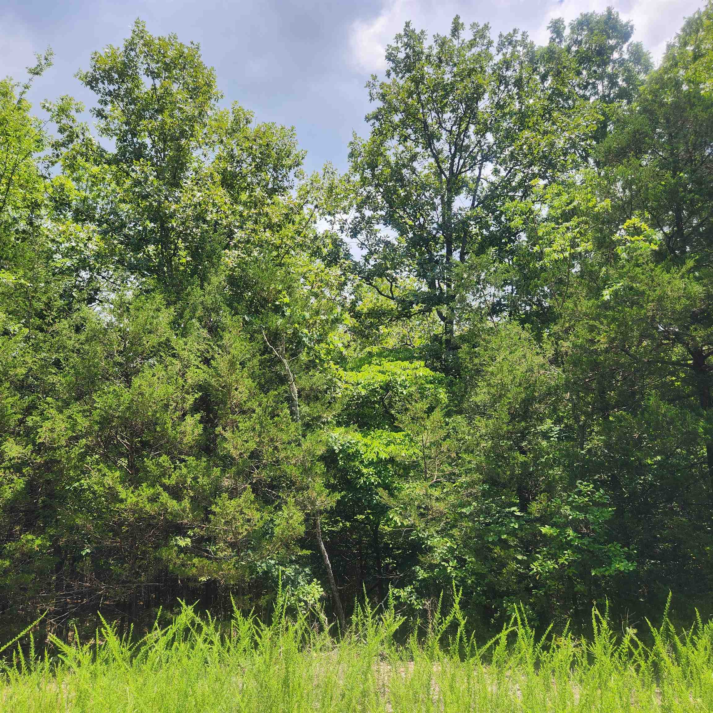 L-83, B-4  Hernando  Cherokee Village, AR