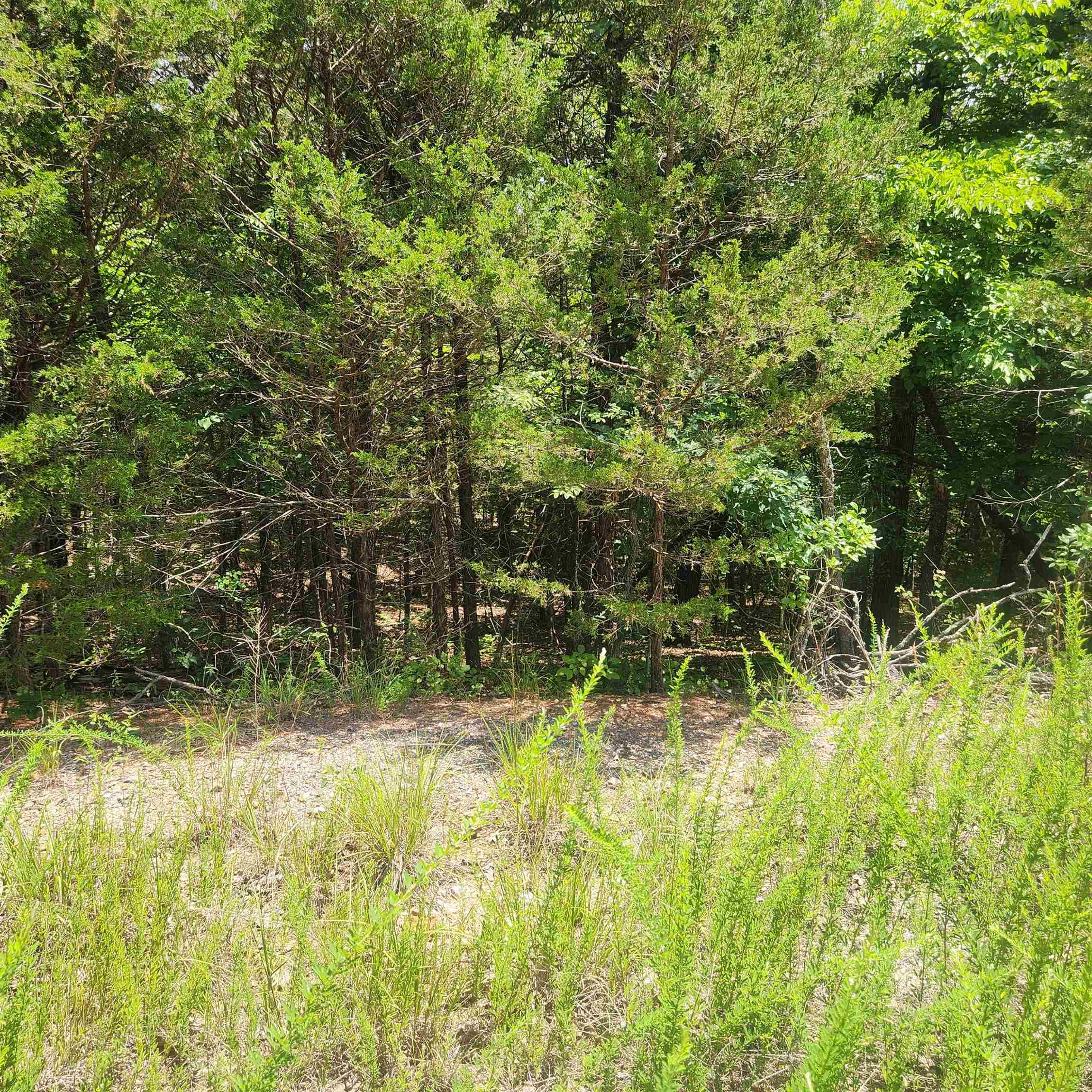 L-83, B-4  Hernando  Cherokee Village, AR