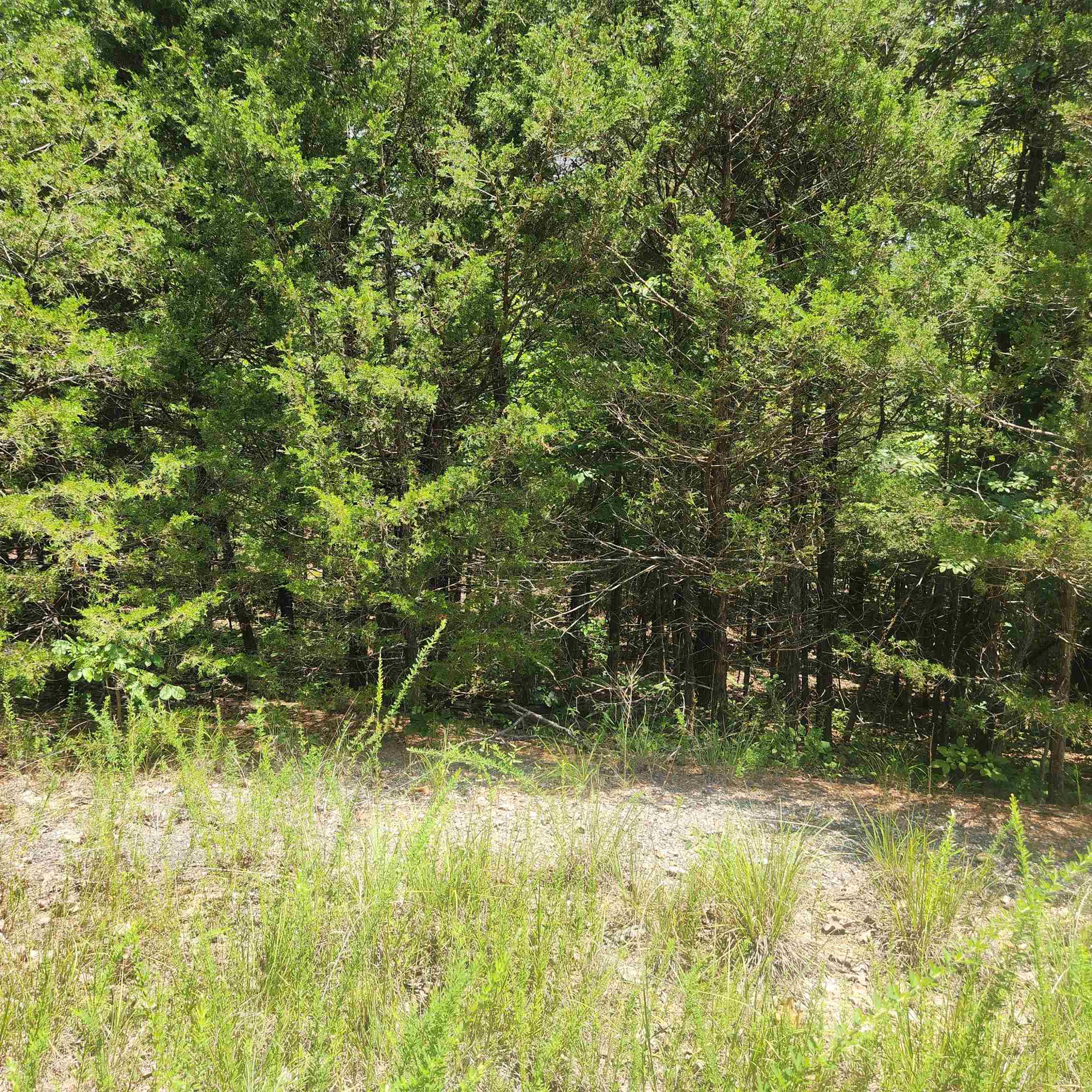 L-83, B-4  Hernando  Cherokee Village, AR