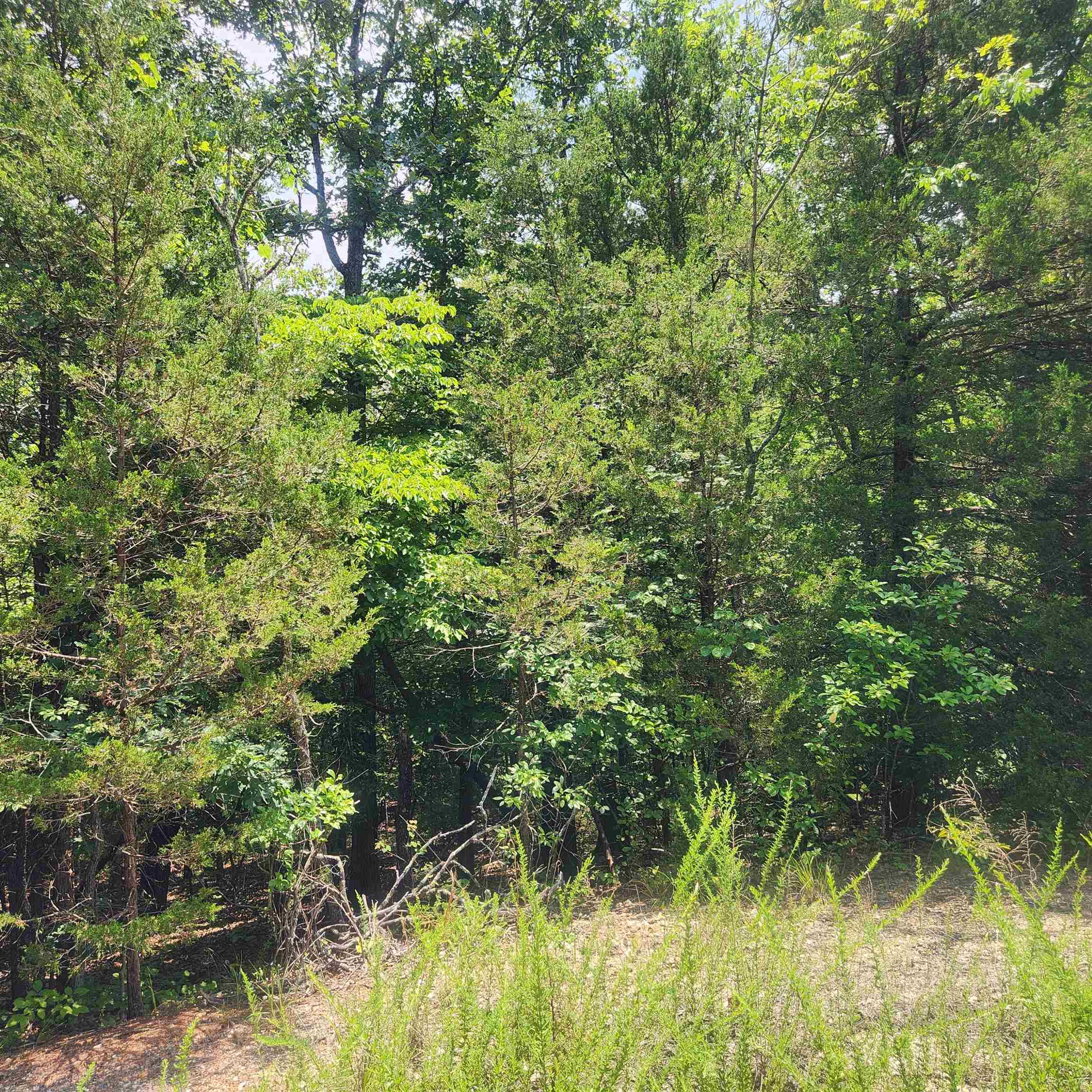 L-83, B-4  Hernando  Cherokee Village, AR