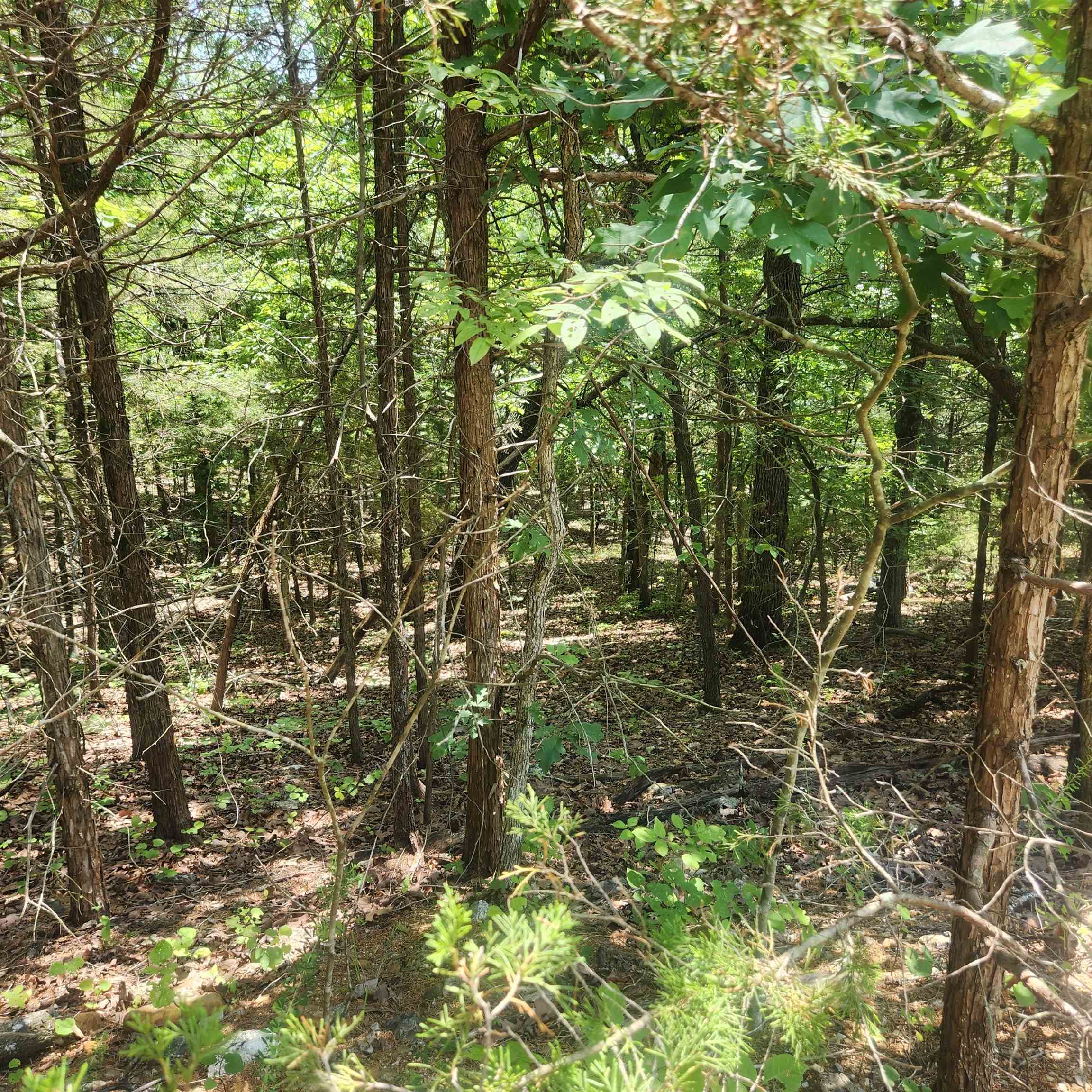 L-83, B-4  Hernando  Cherokee Village, AR