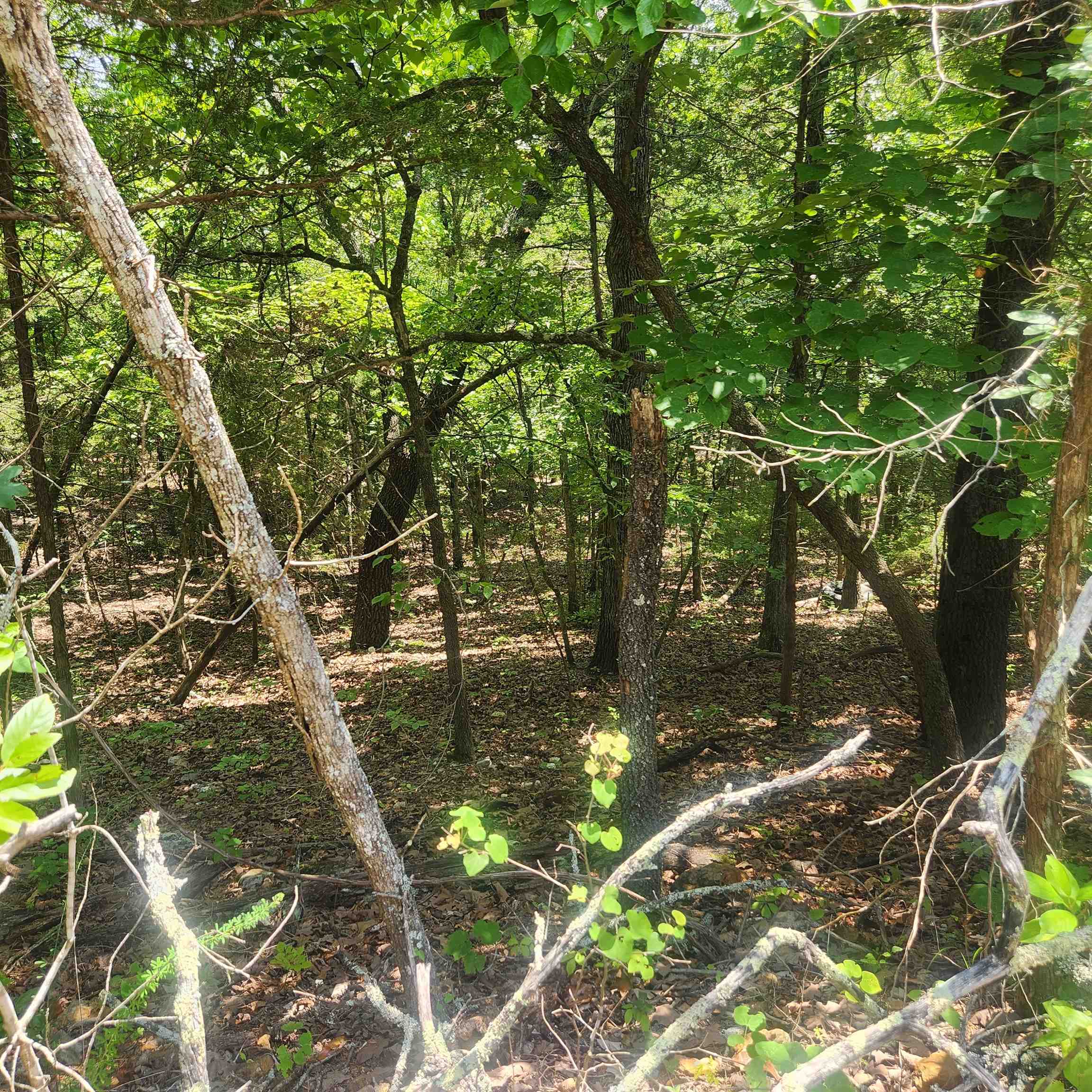 L-83, B-4  Hernando  Cherokee Village, AR
