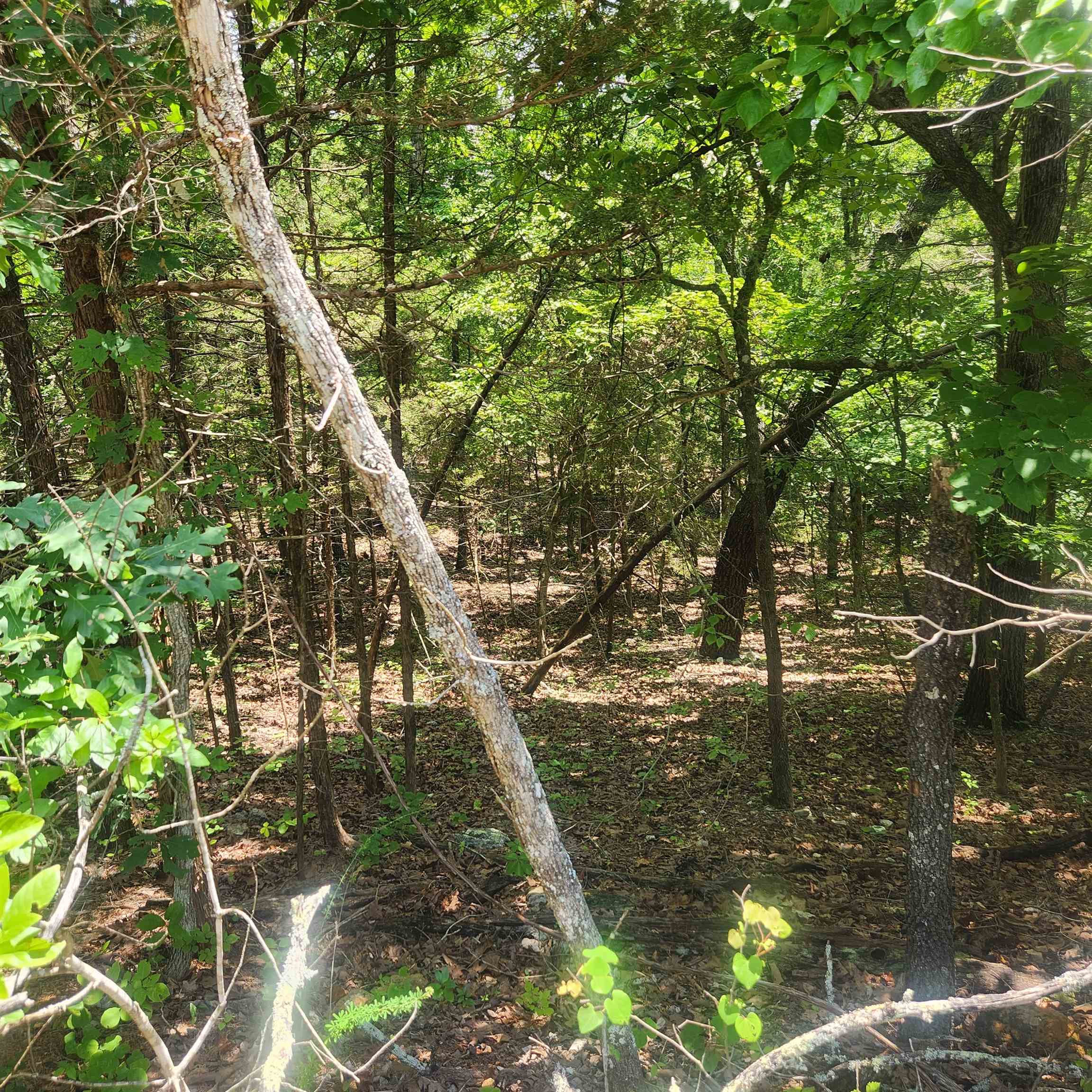 L-83, B-4  Hernando  Cherokee Village, AR