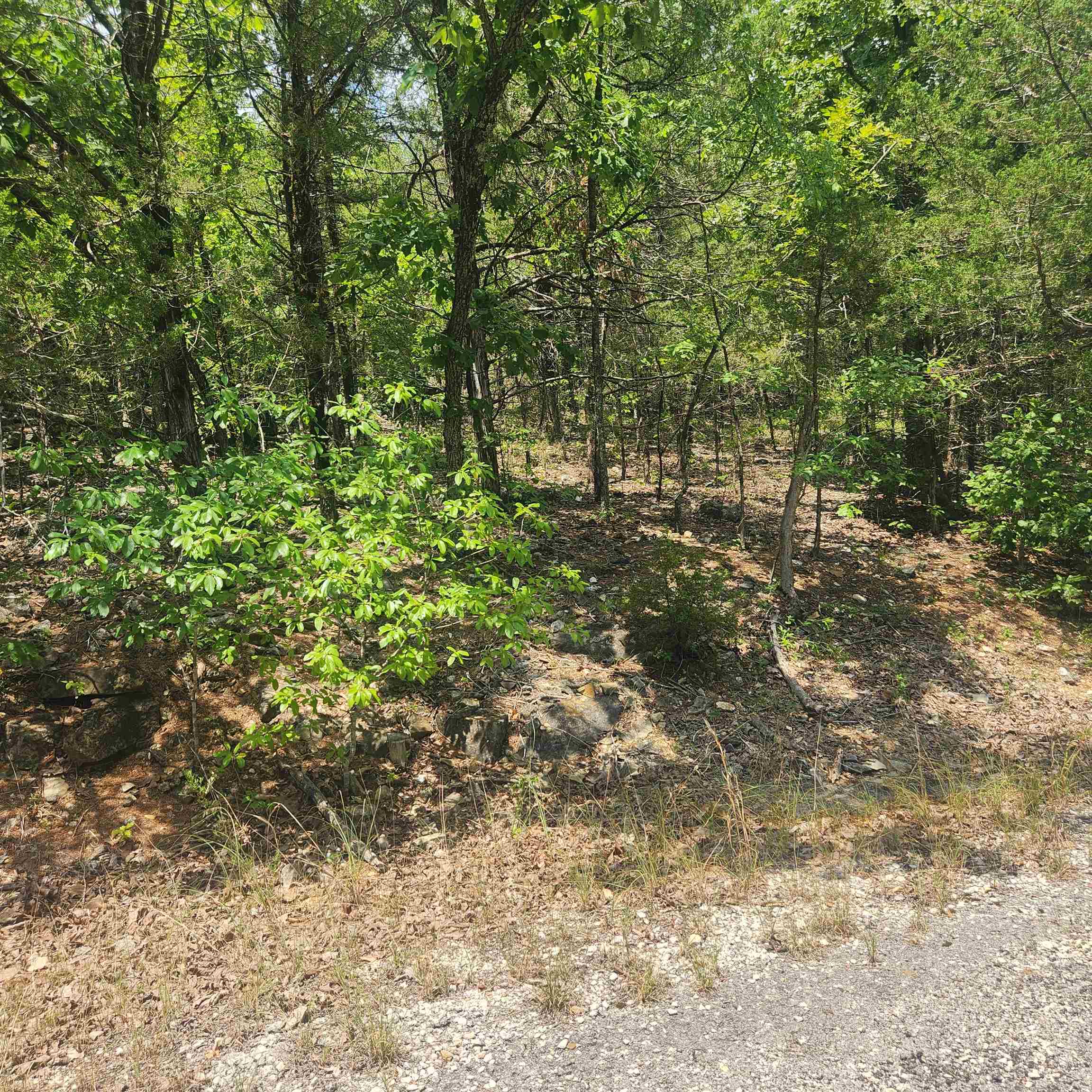 L-61, B-7  Lochloosa  Cherokee Village, AR